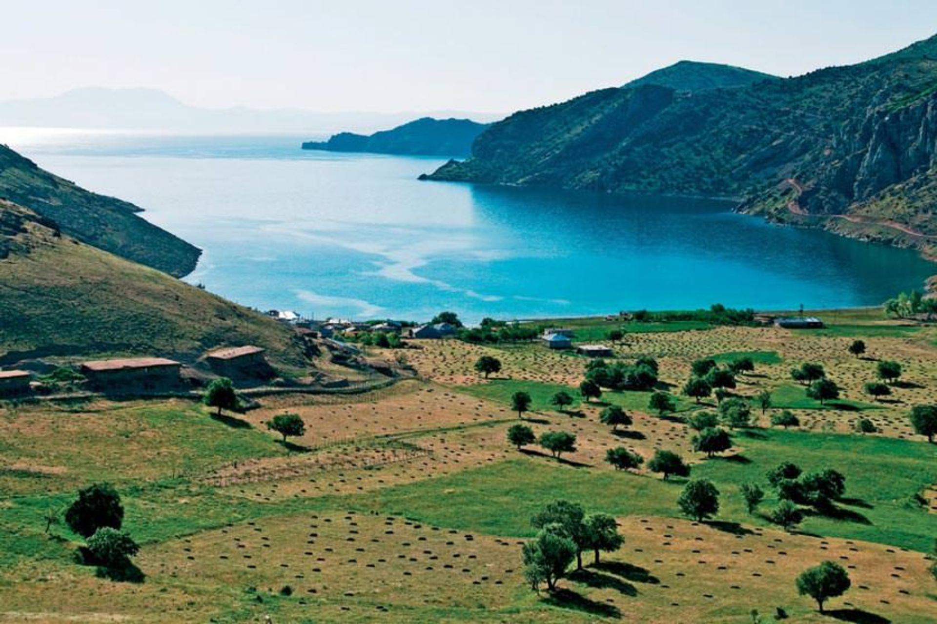 وان