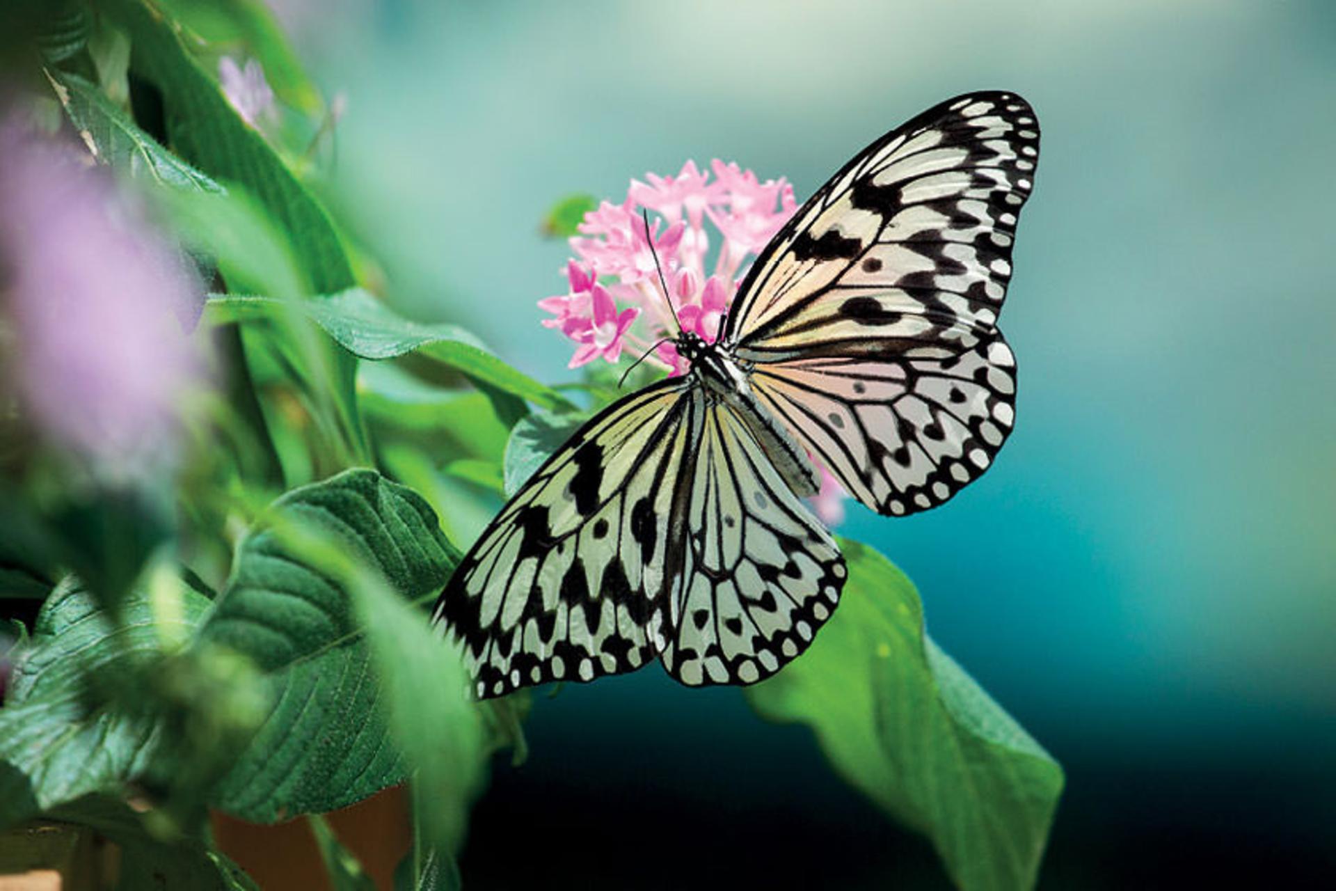 2018-6-90fa0077-cbcf-4c17-8983-ec30e85bcc63