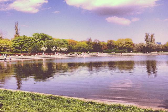 Mokotowskie Park