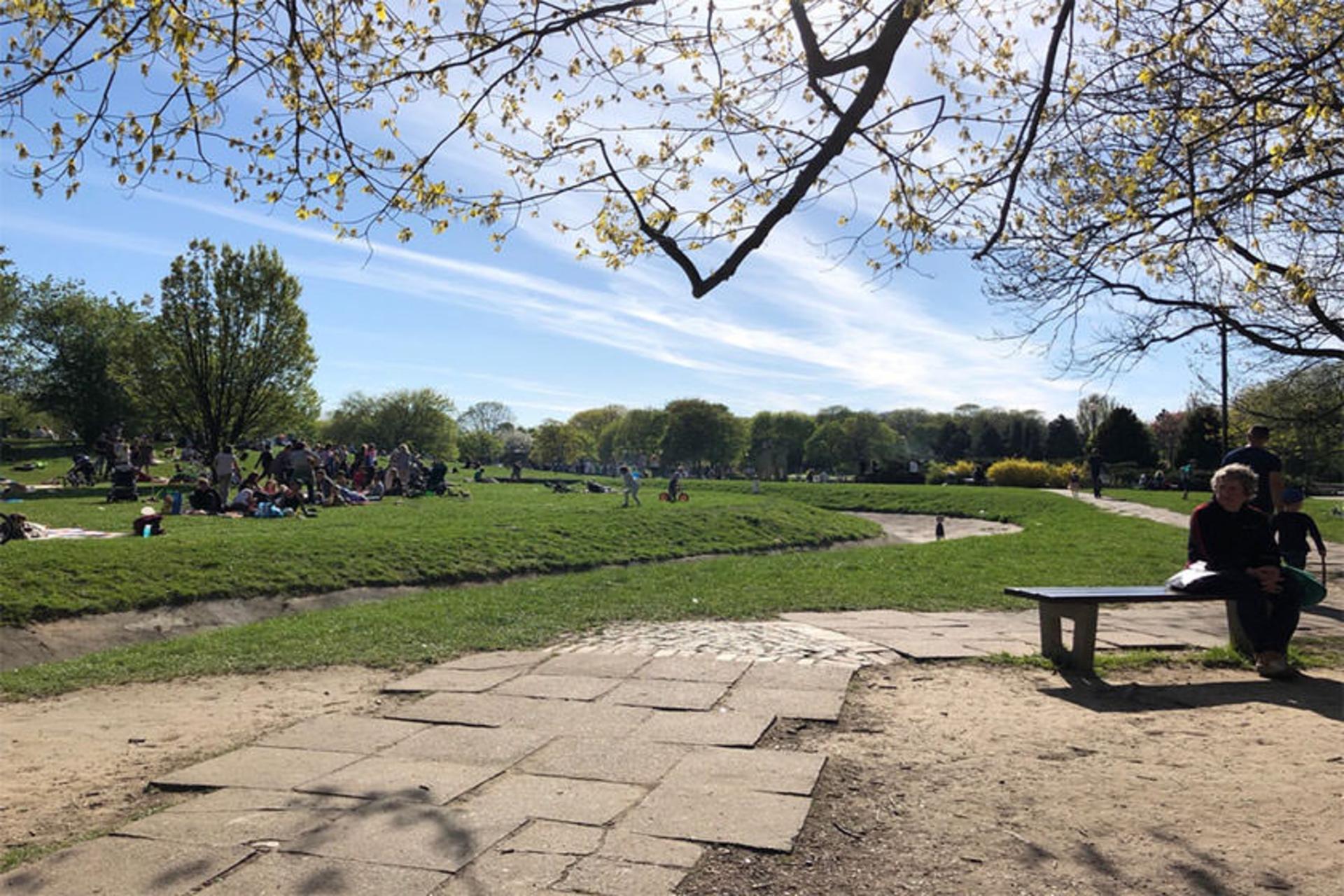 Mokotowskie Park