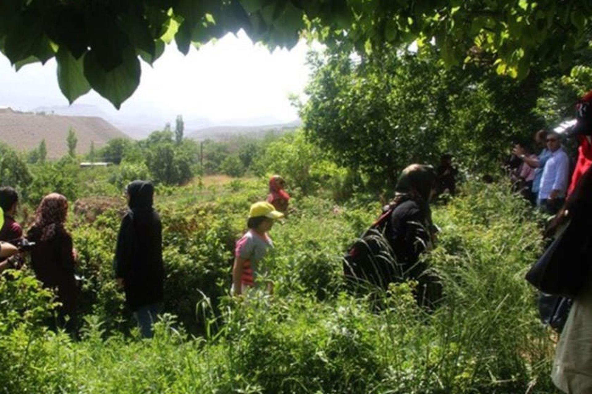 گردشگری کشاوزی