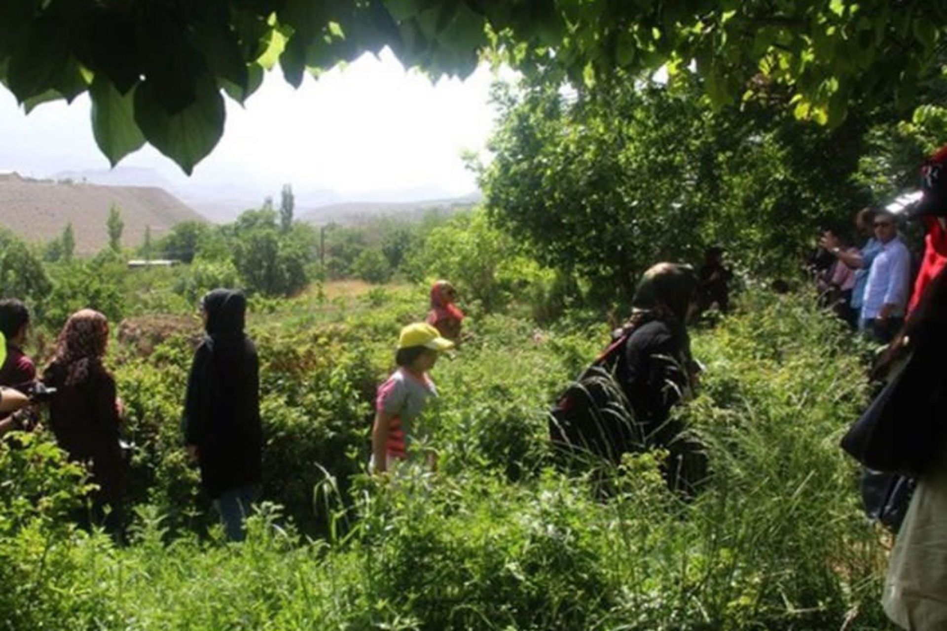 گردشگری کشاوزی