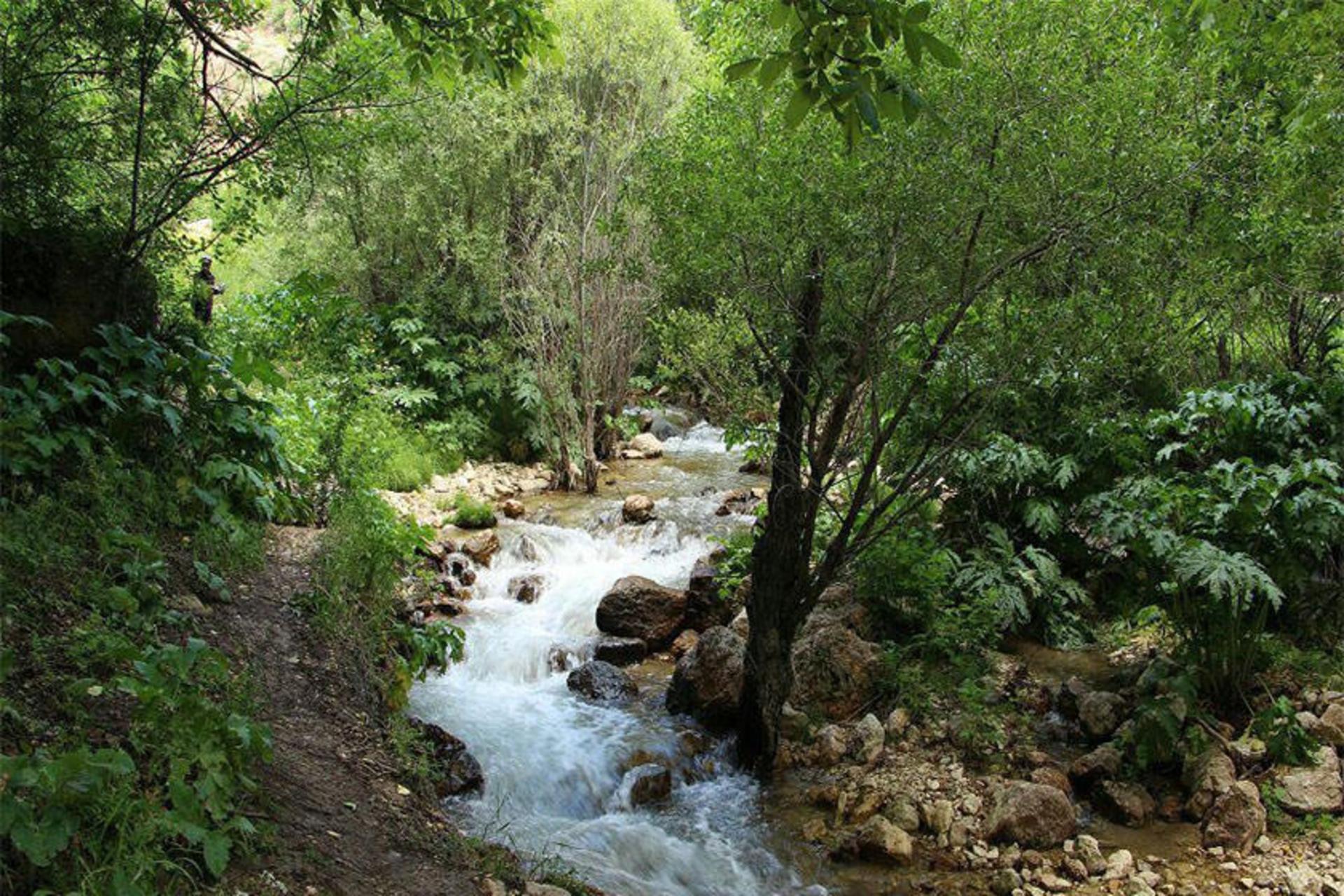 آبشار نره‌گر