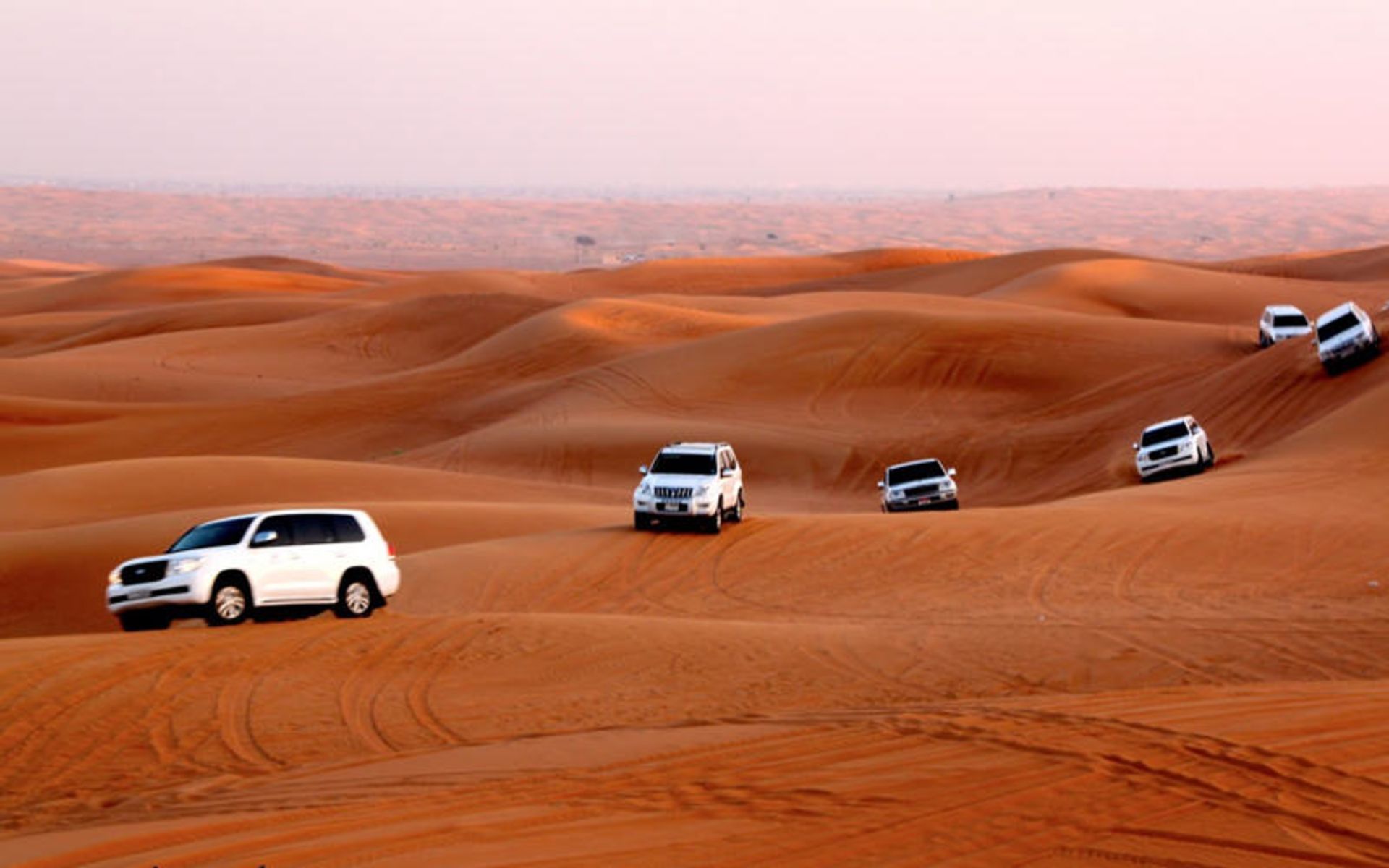 واحه‌ی لیوا (Liwa)
