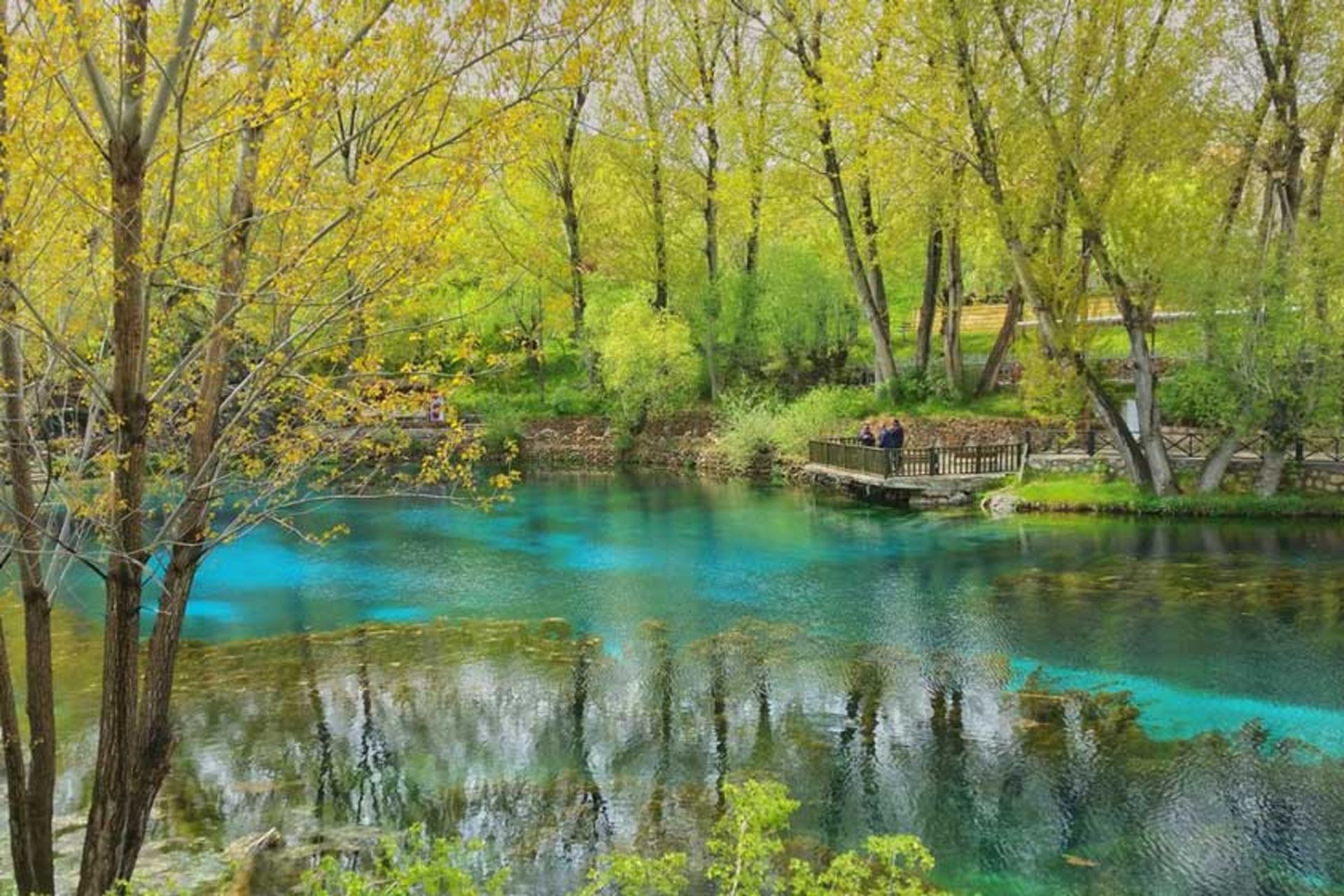 2018-6-c7c30755-aafe-4752-8bed-4d1cb242b49d