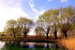 چشمه بالنگان