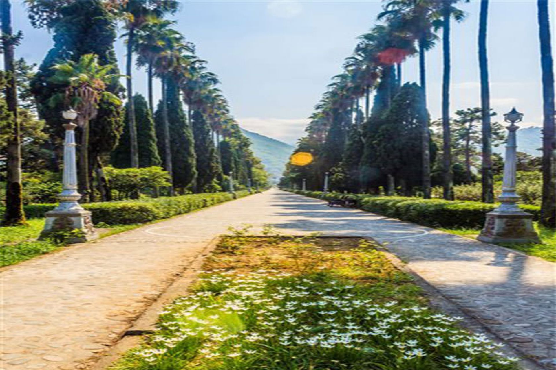 بلوار معلم 