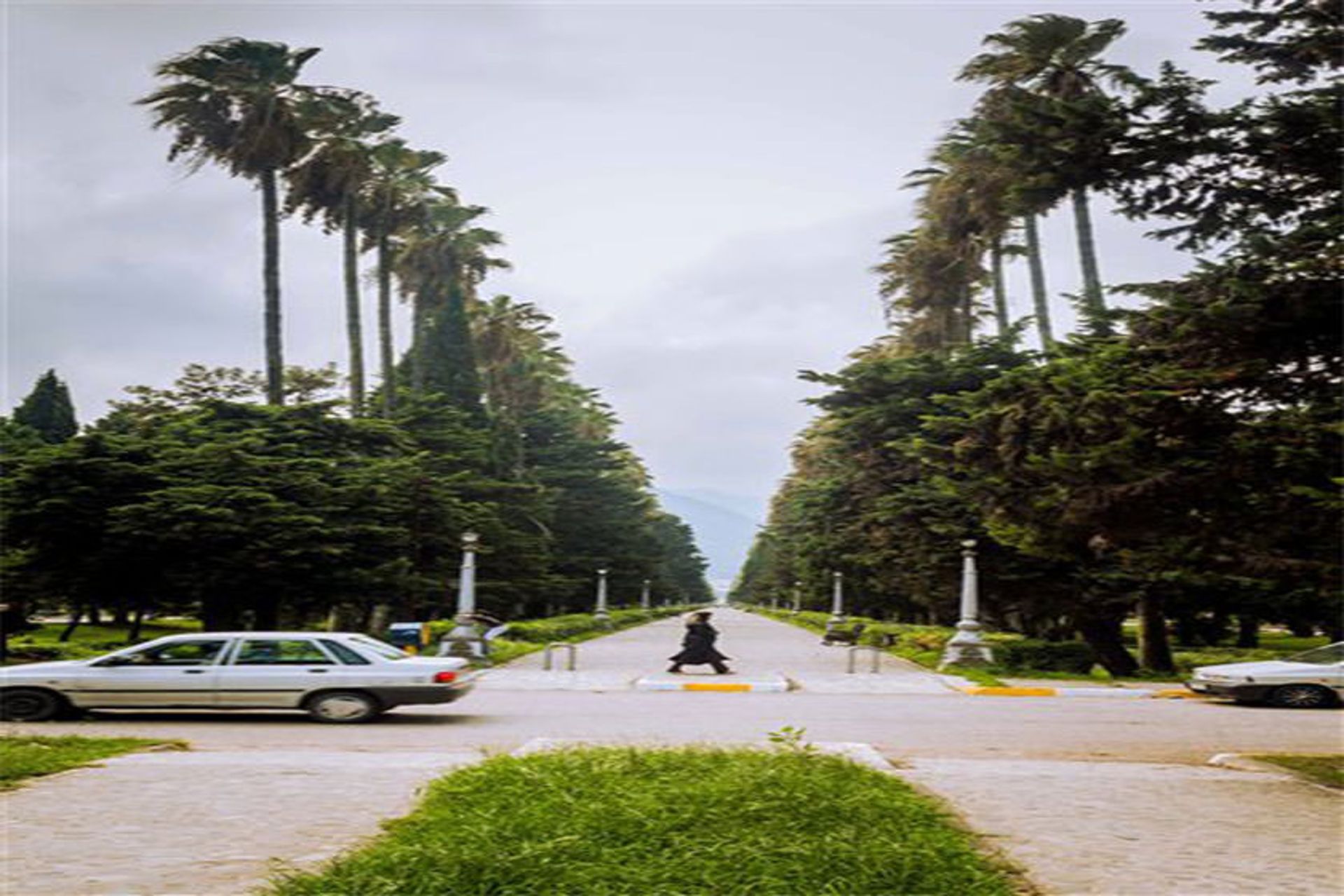 بلوار معلم 