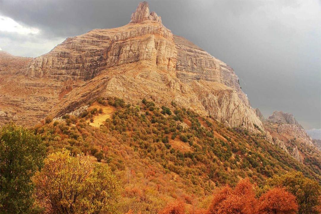 کوه قارون