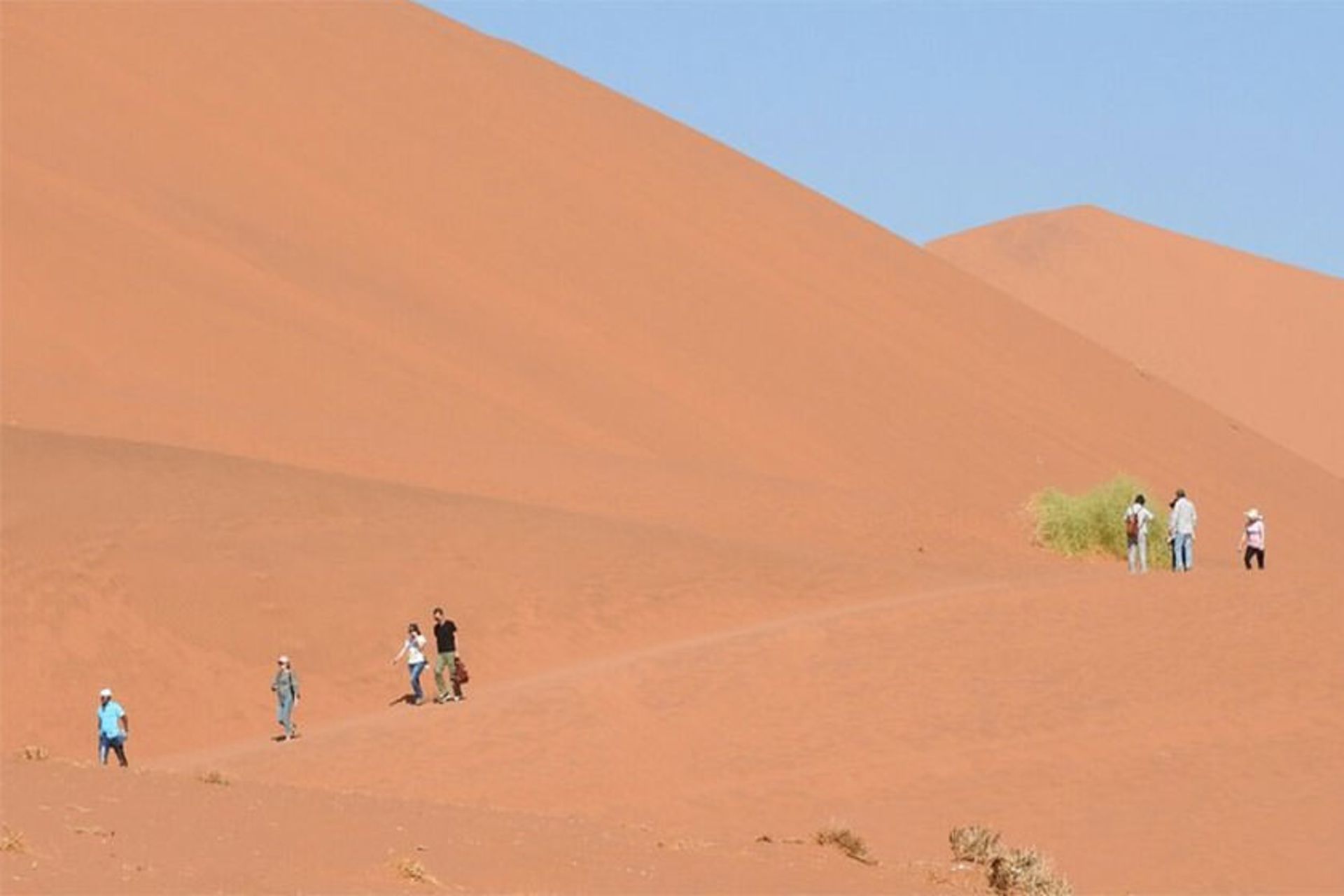 Namib-Naukluft National Park