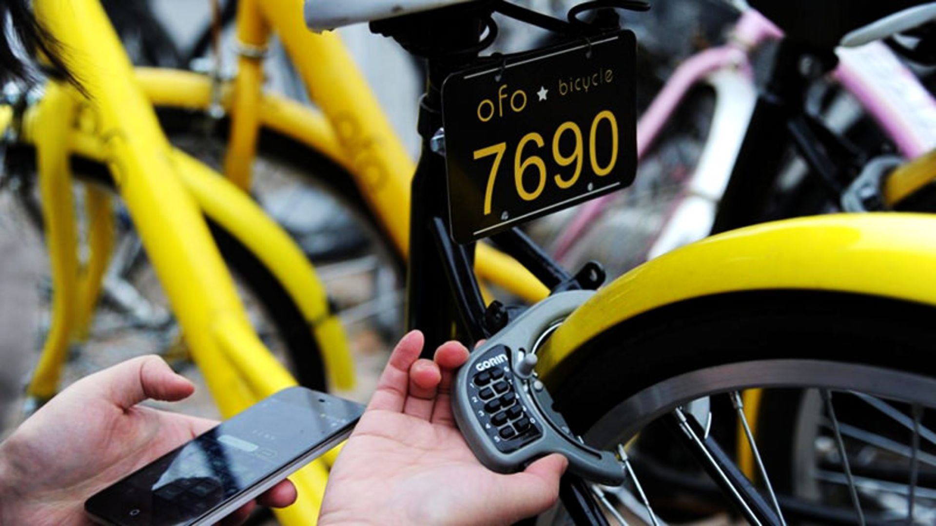 bicycle-rent