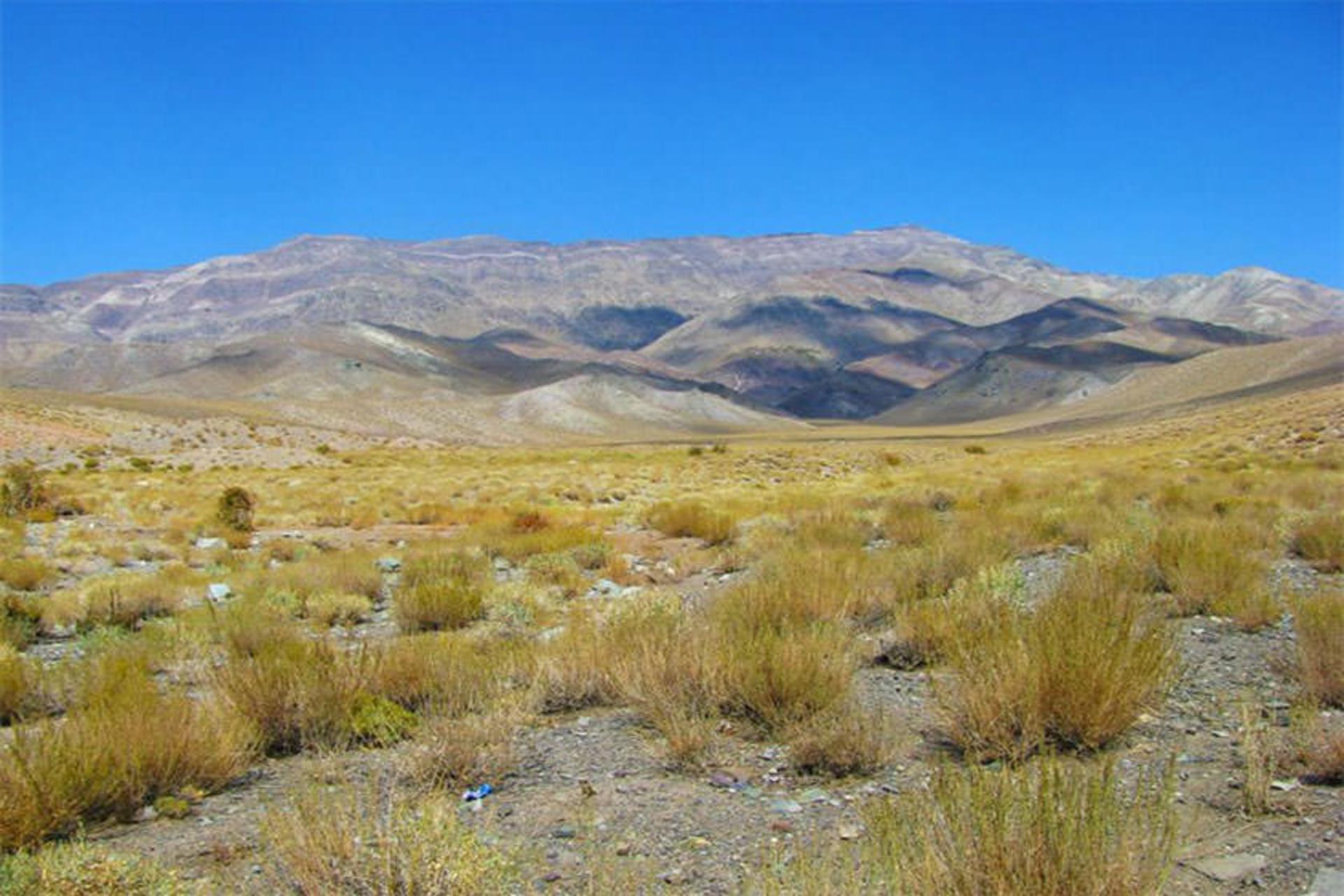کوه هزار