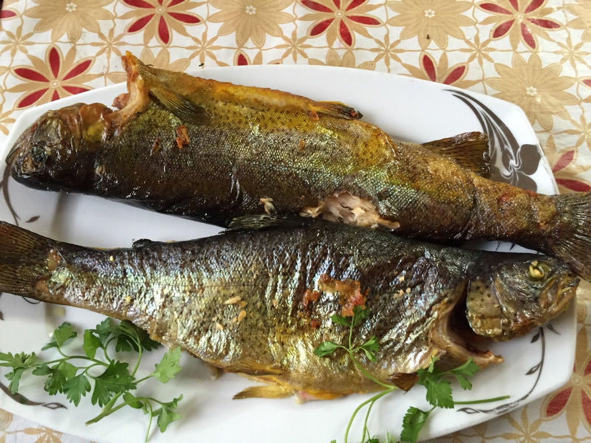 نارنجستان مراغه