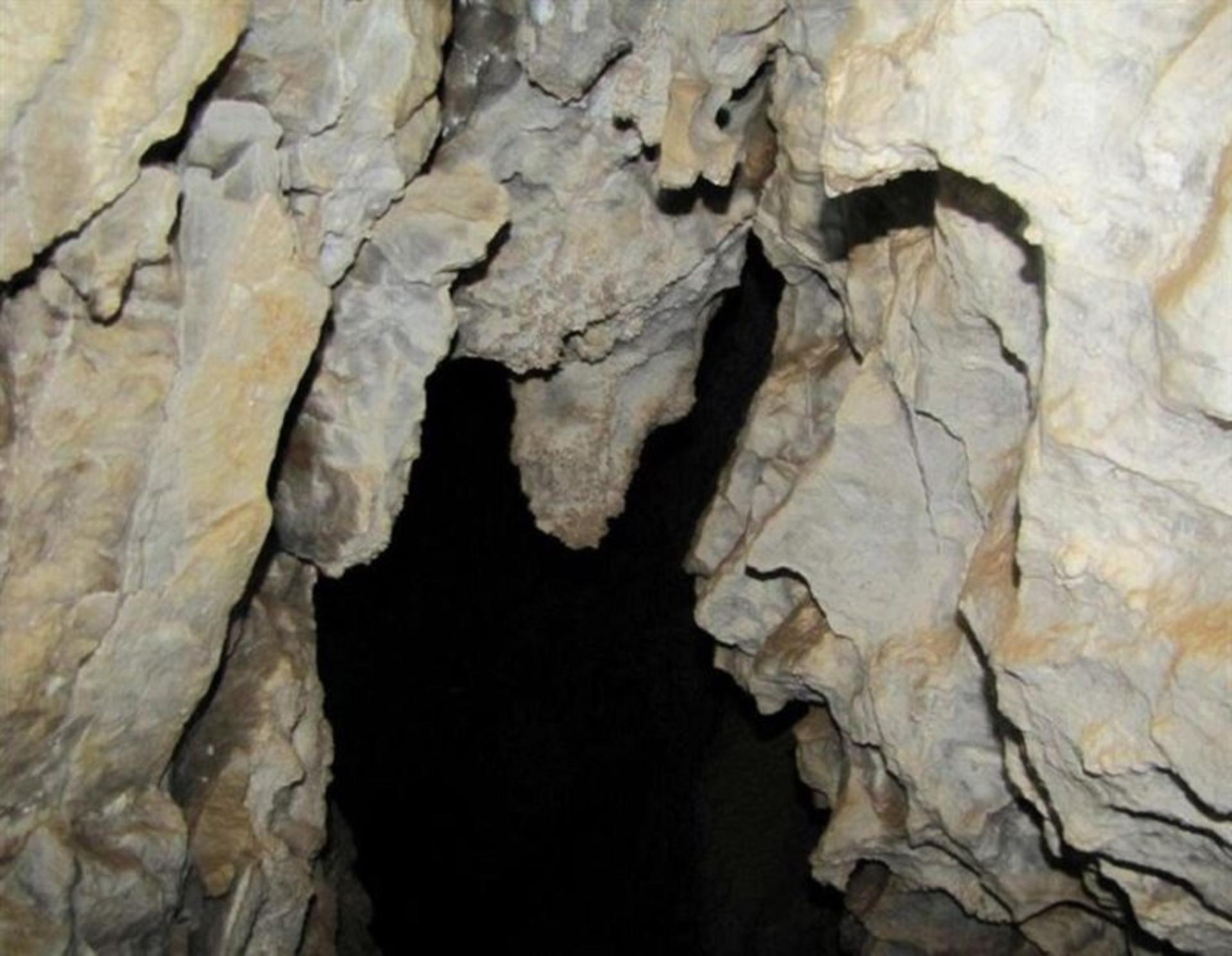 غار علی شیخ