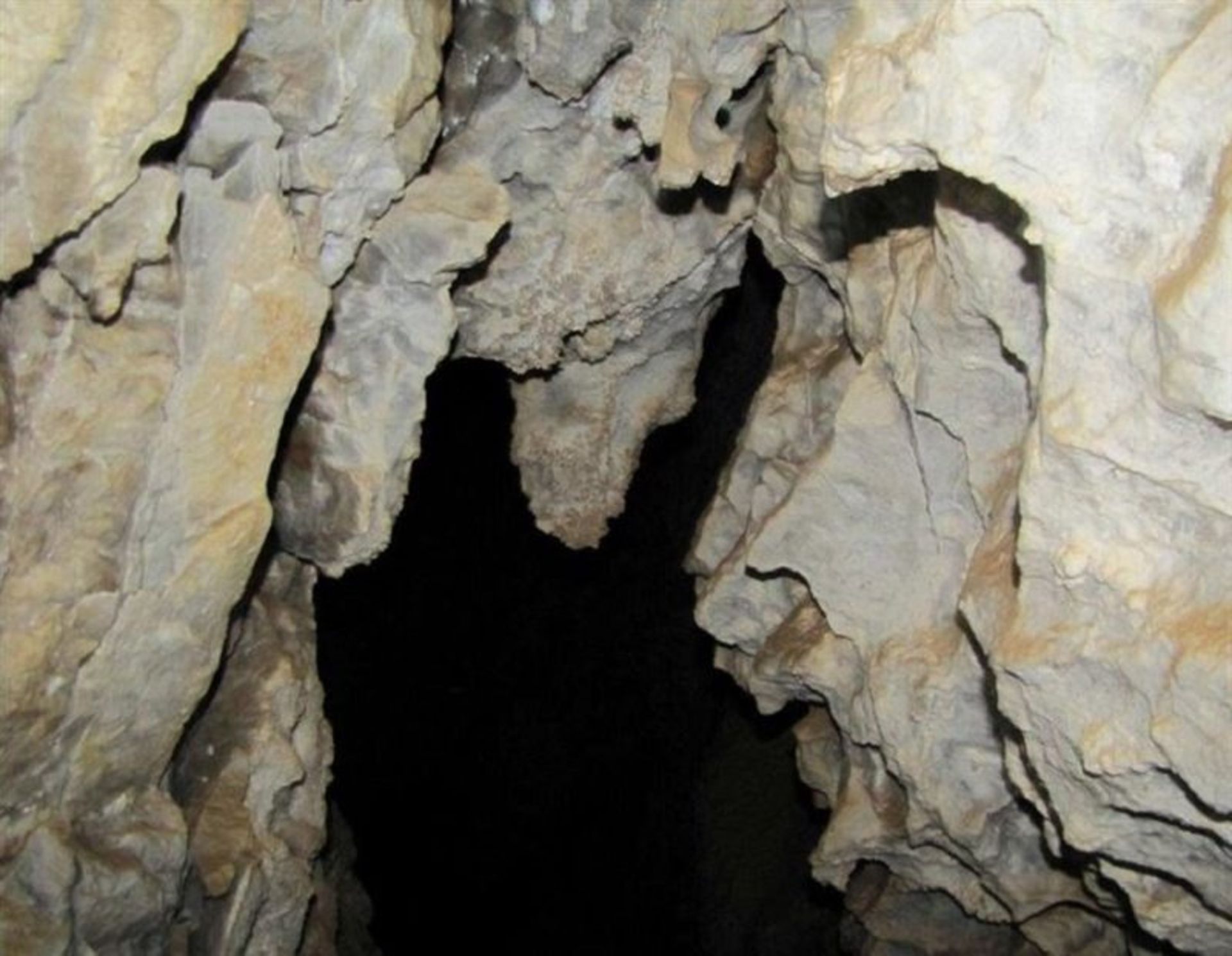 غار علی شیخ