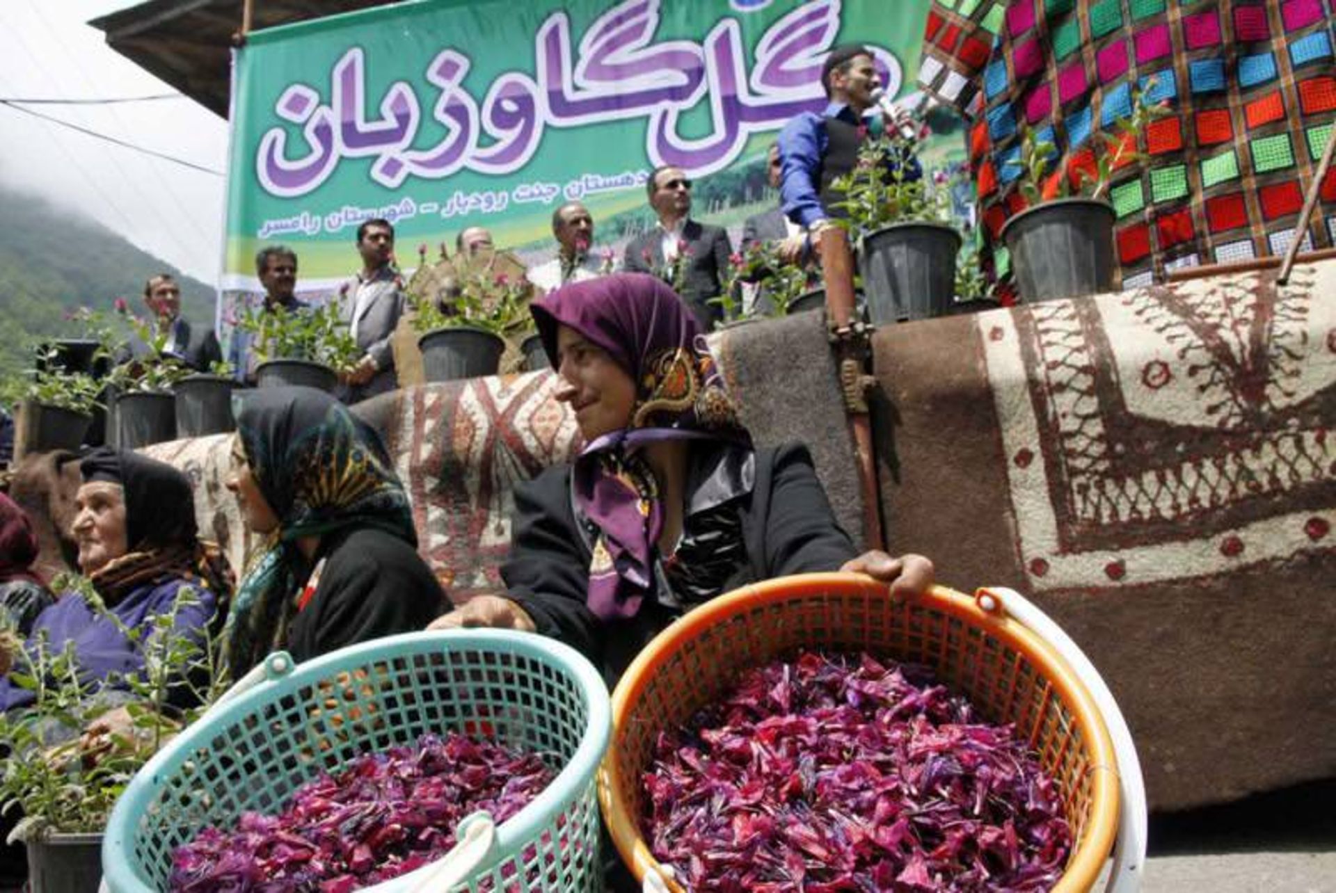 جشنواره ملی گل گاو زبان