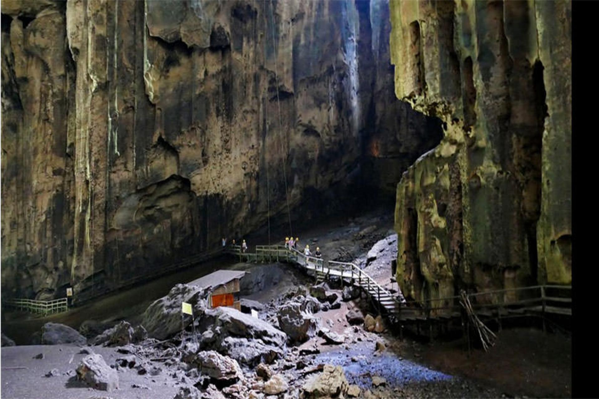 Gomantong Caves