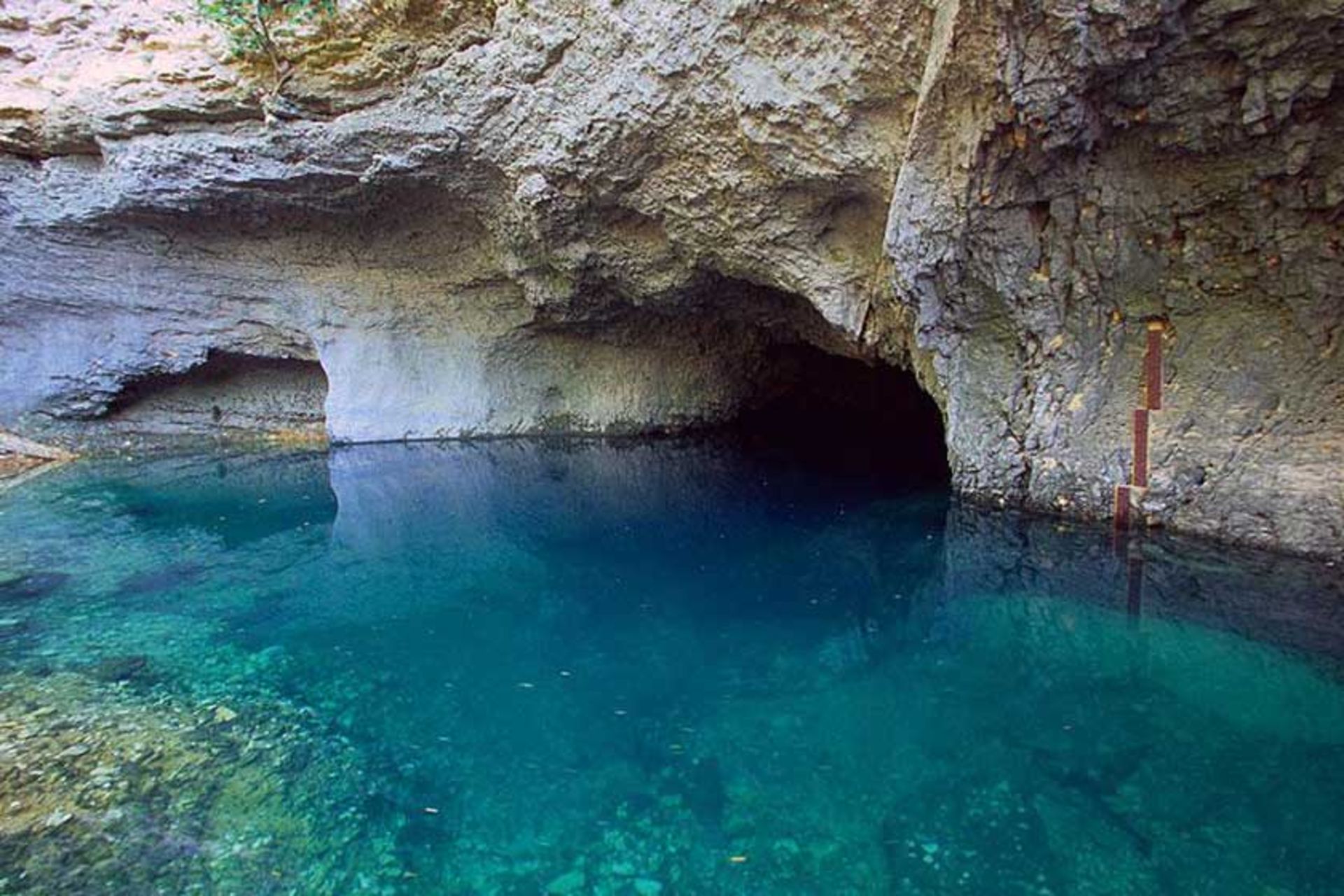 چشمه وکلوز