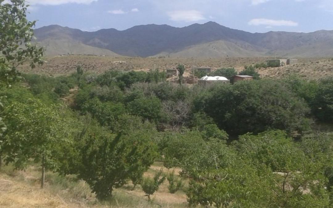 روستای سه چشمه ساردوئیه