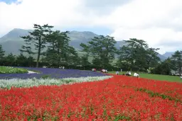 Aso Kujū National Park