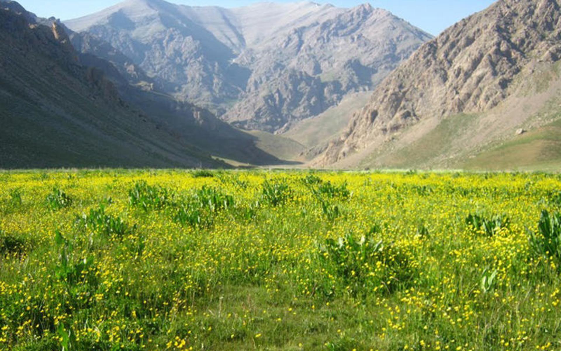 لار و آبشار برف تنگه لار