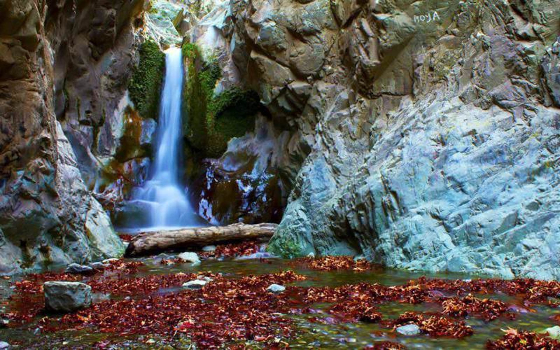 روستای دلفارد