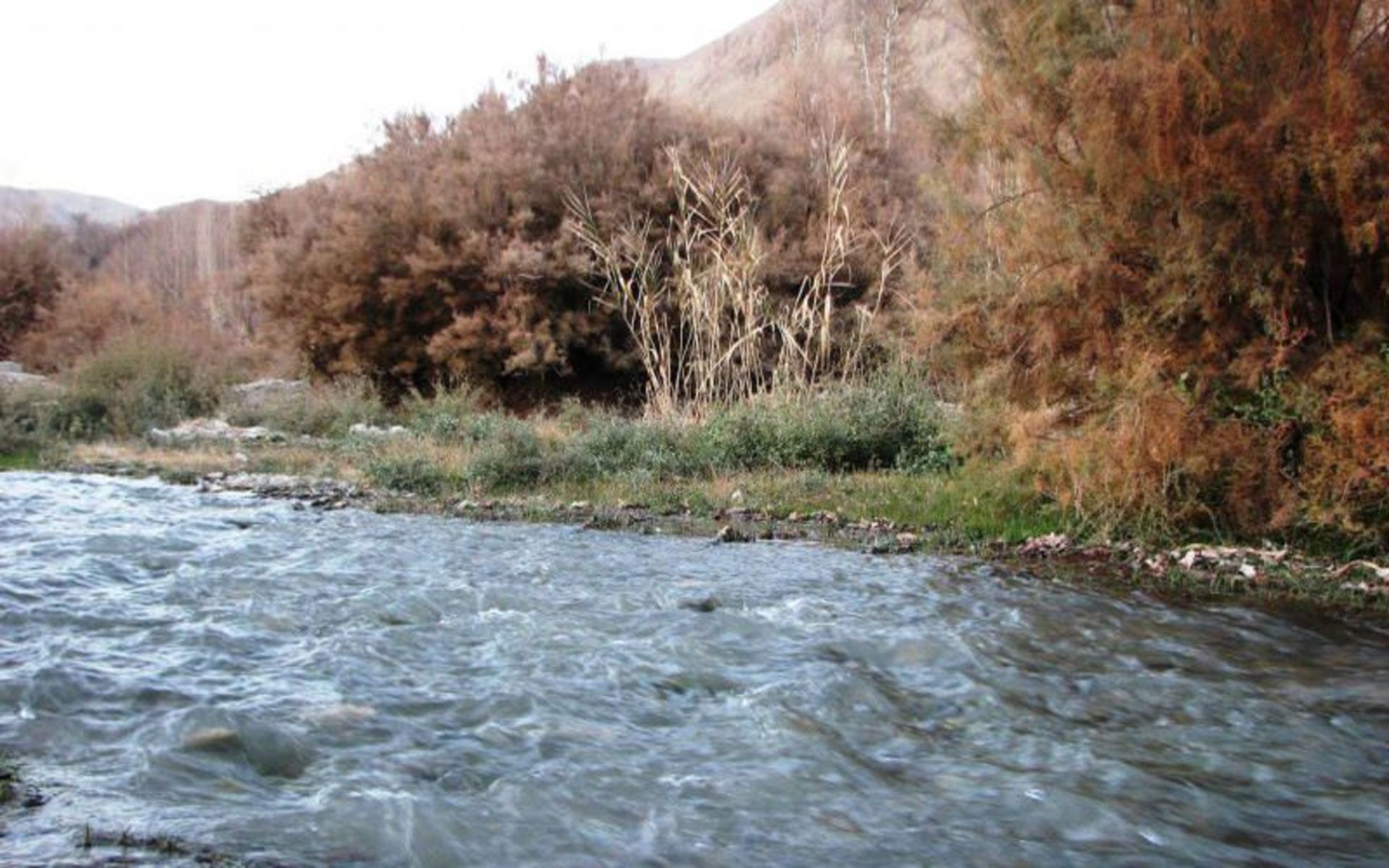 روستای سیرچ
