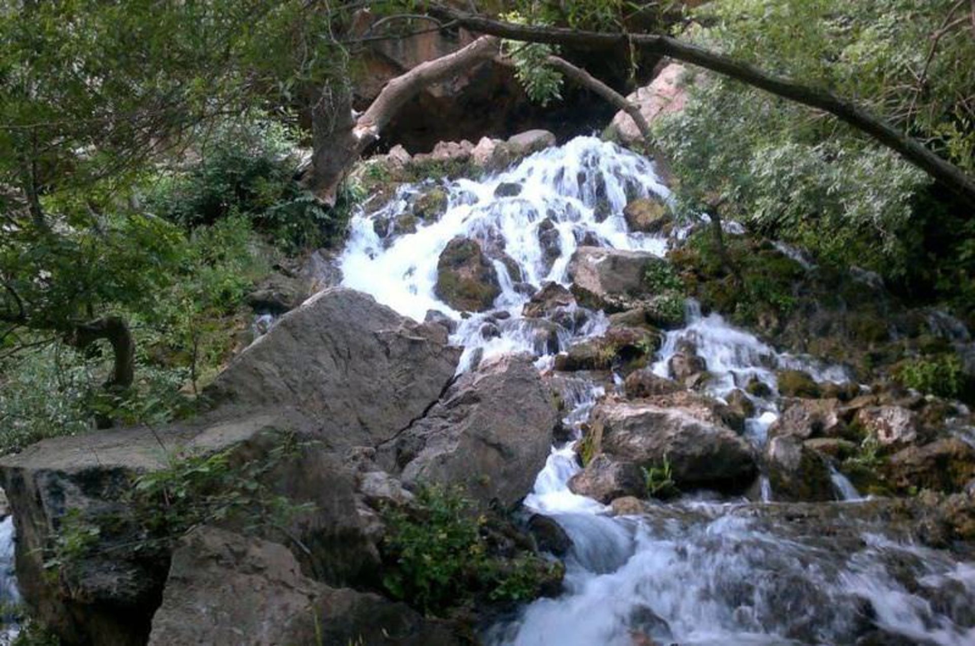 رودخانه کاسگان