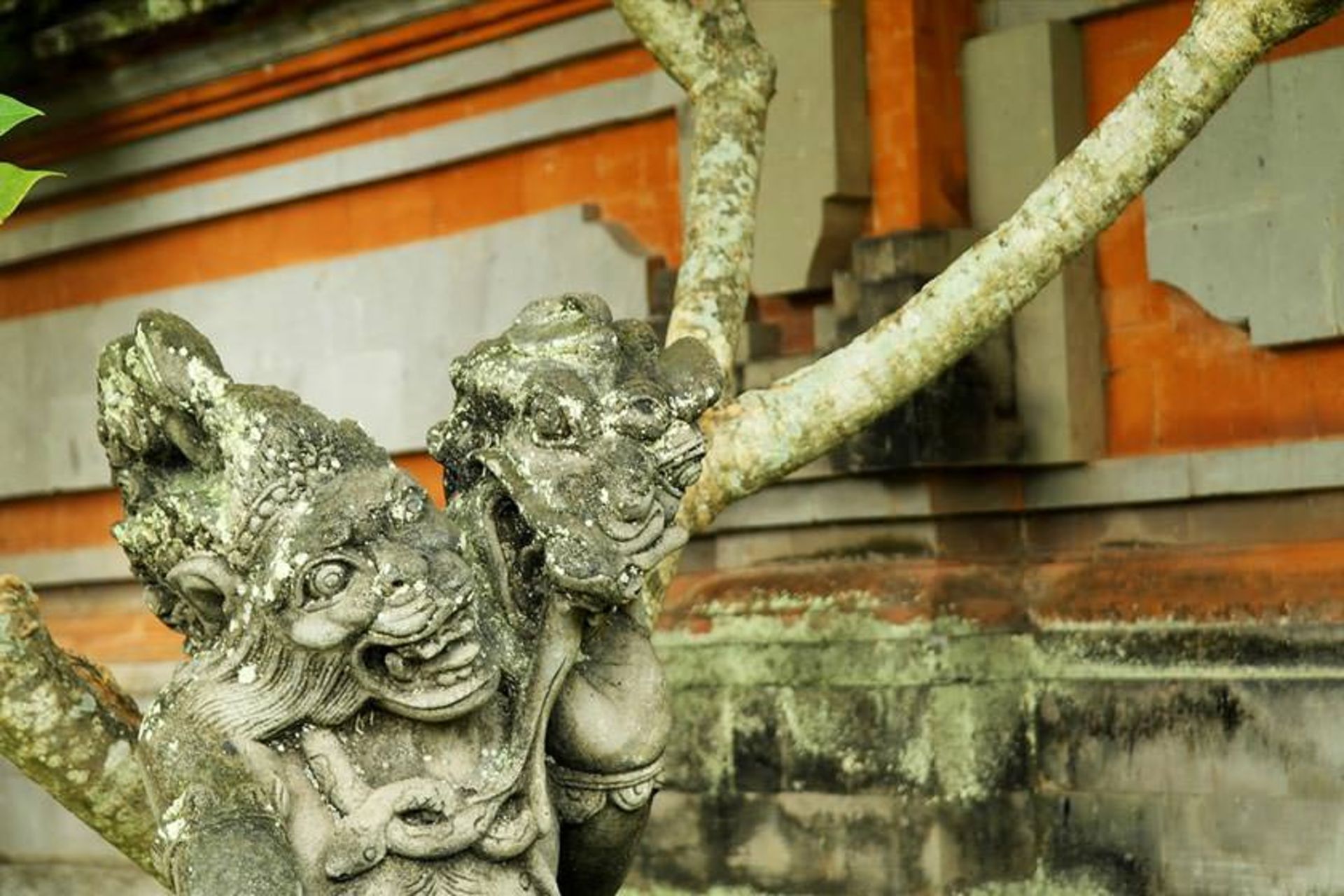 کاخ کلانگ کونگ