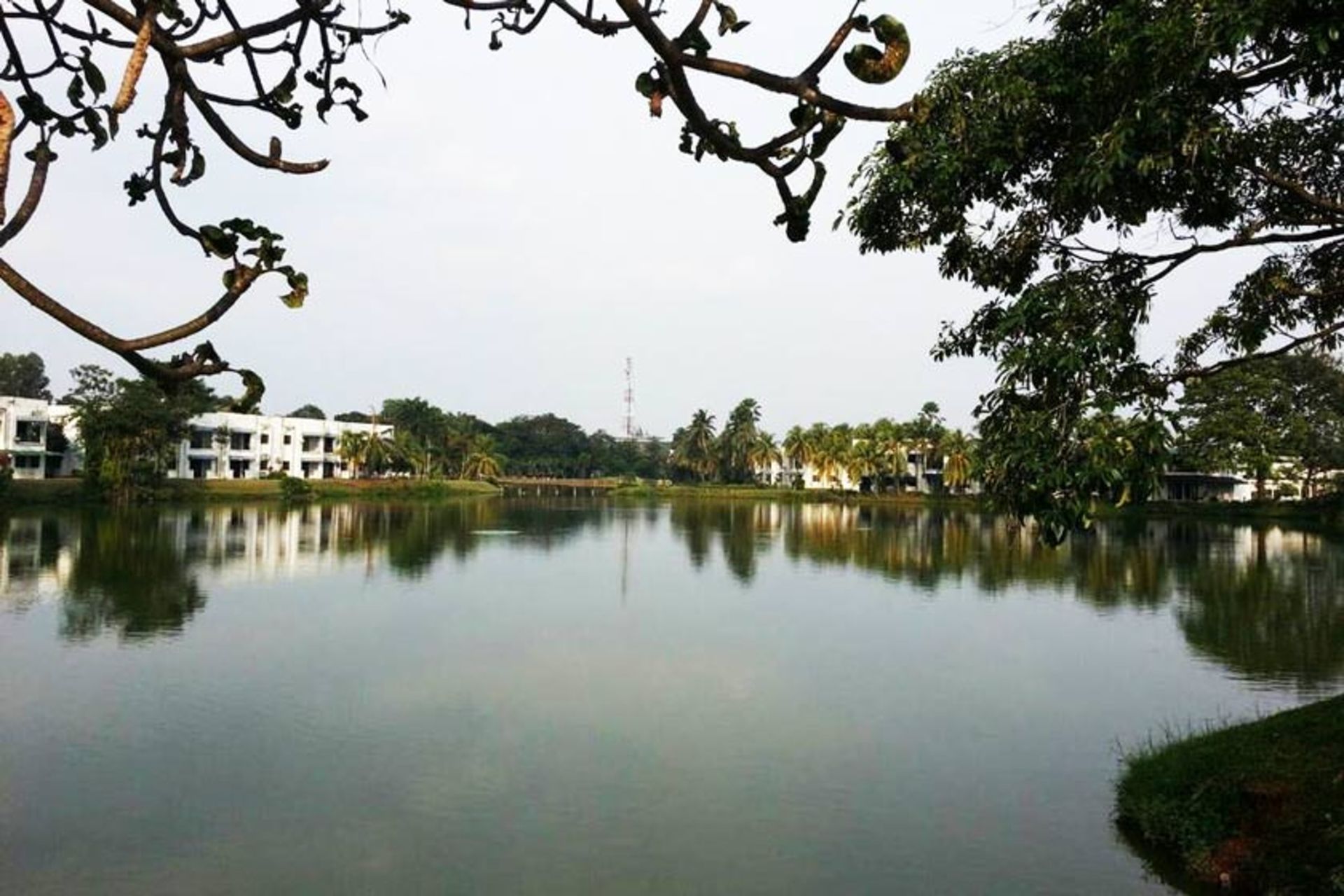 کاجانگ