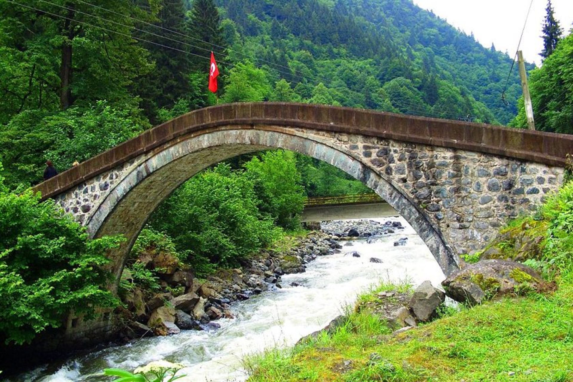 فیرتینا