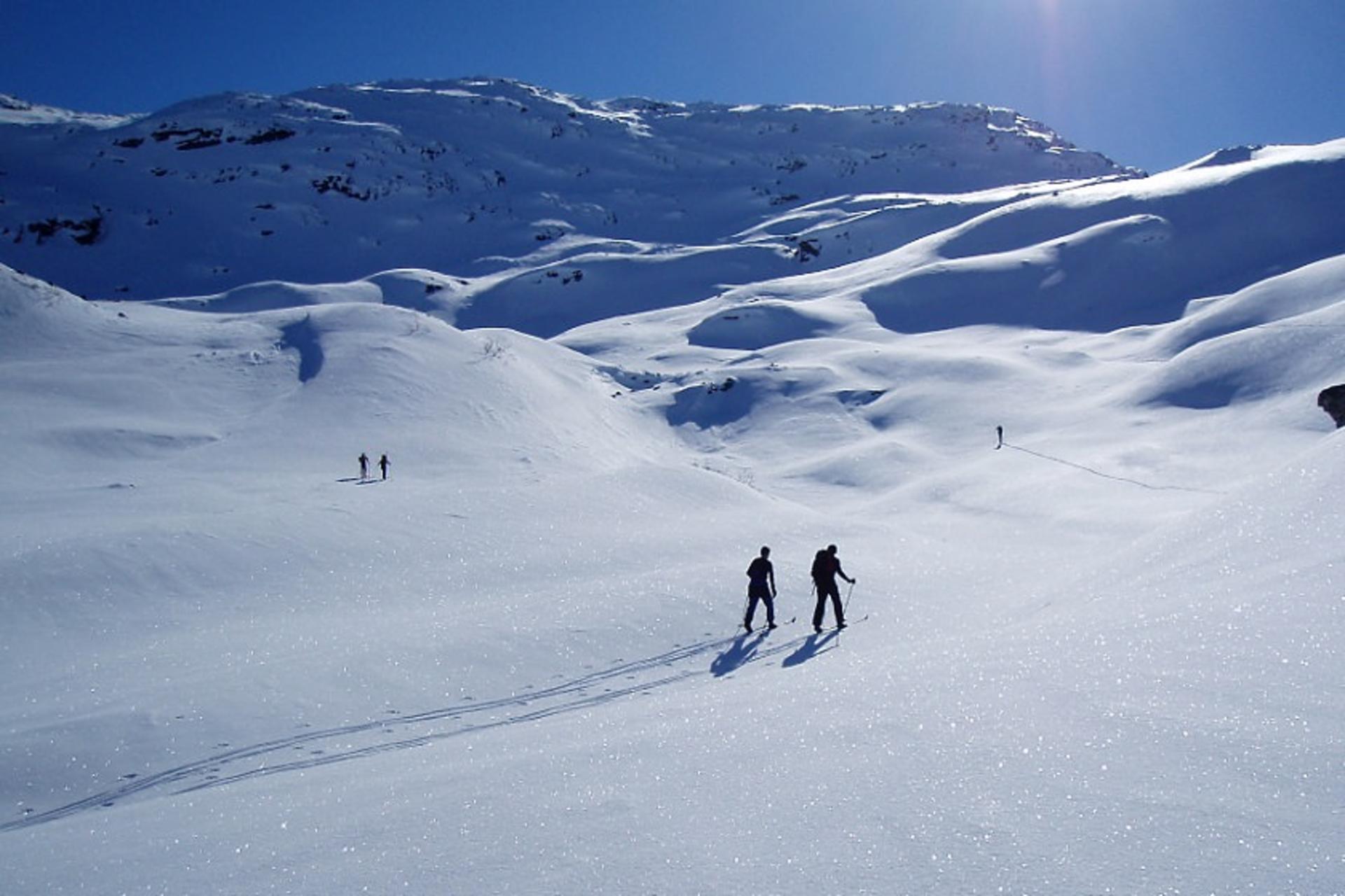 ski