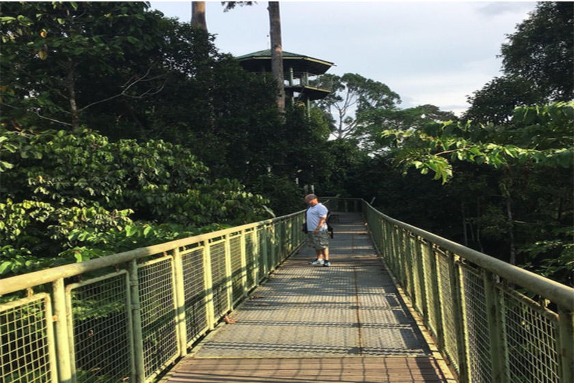 Rainforest Discovery Centre