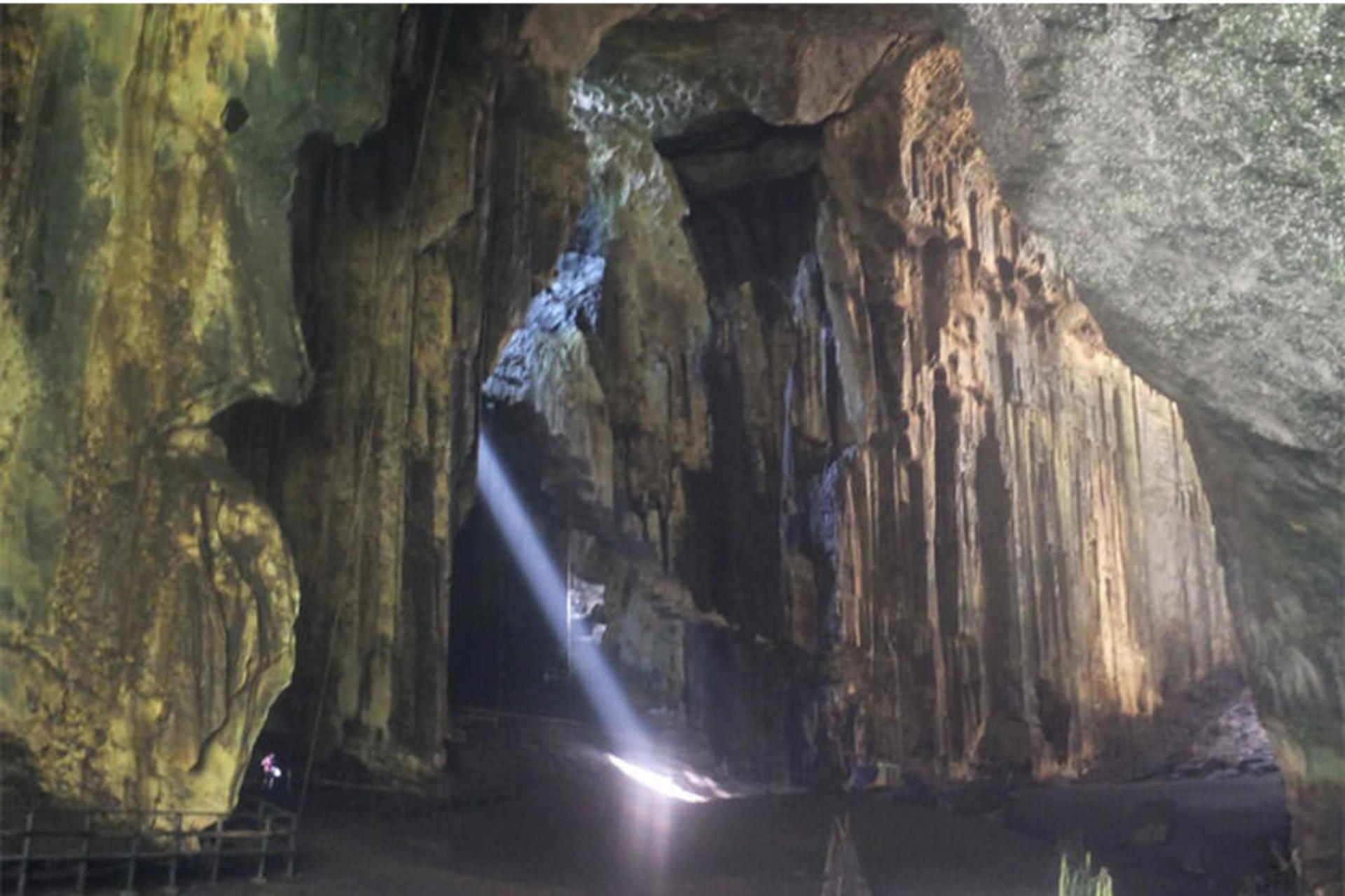 Gomantong Caves