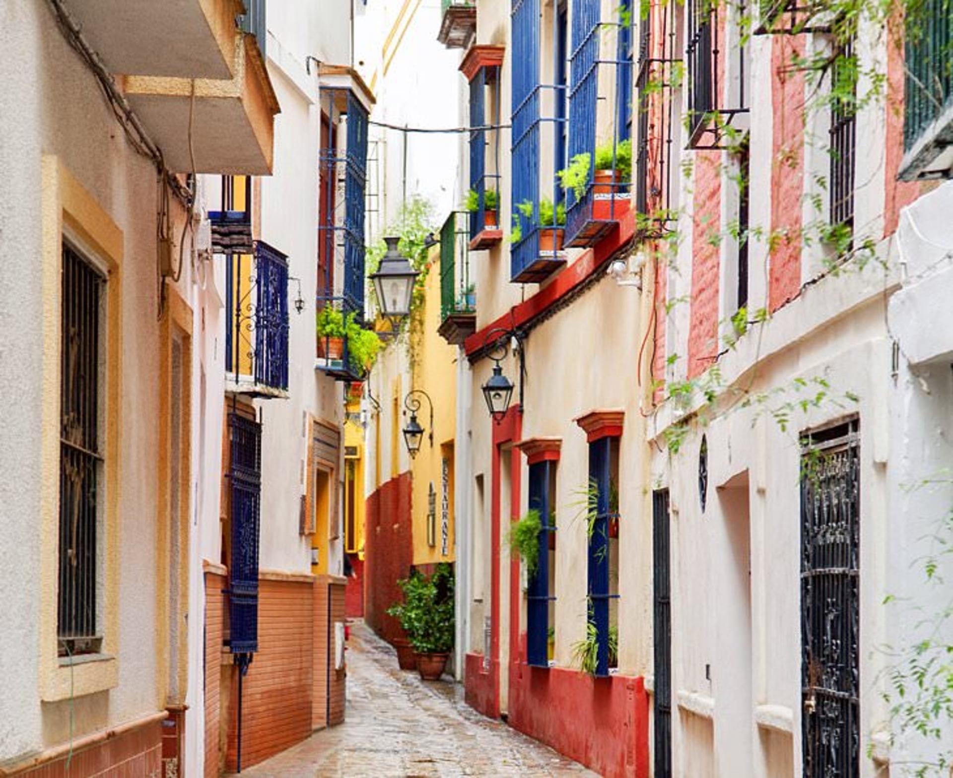 سویا