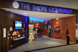 the shore oceanarium melaka