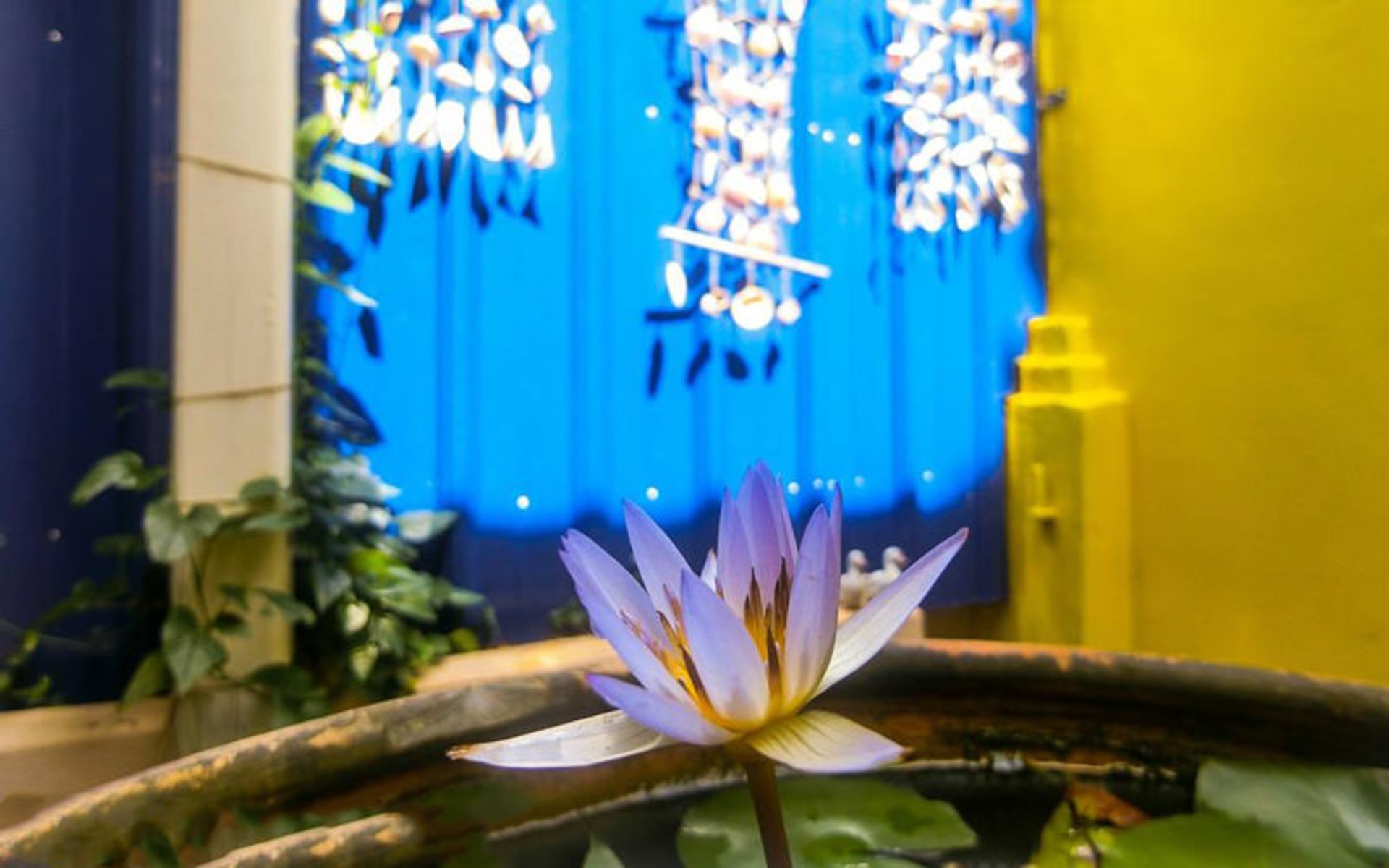 مهمان خانه آمتیس لاو (Amethyst Love Guesthouse)