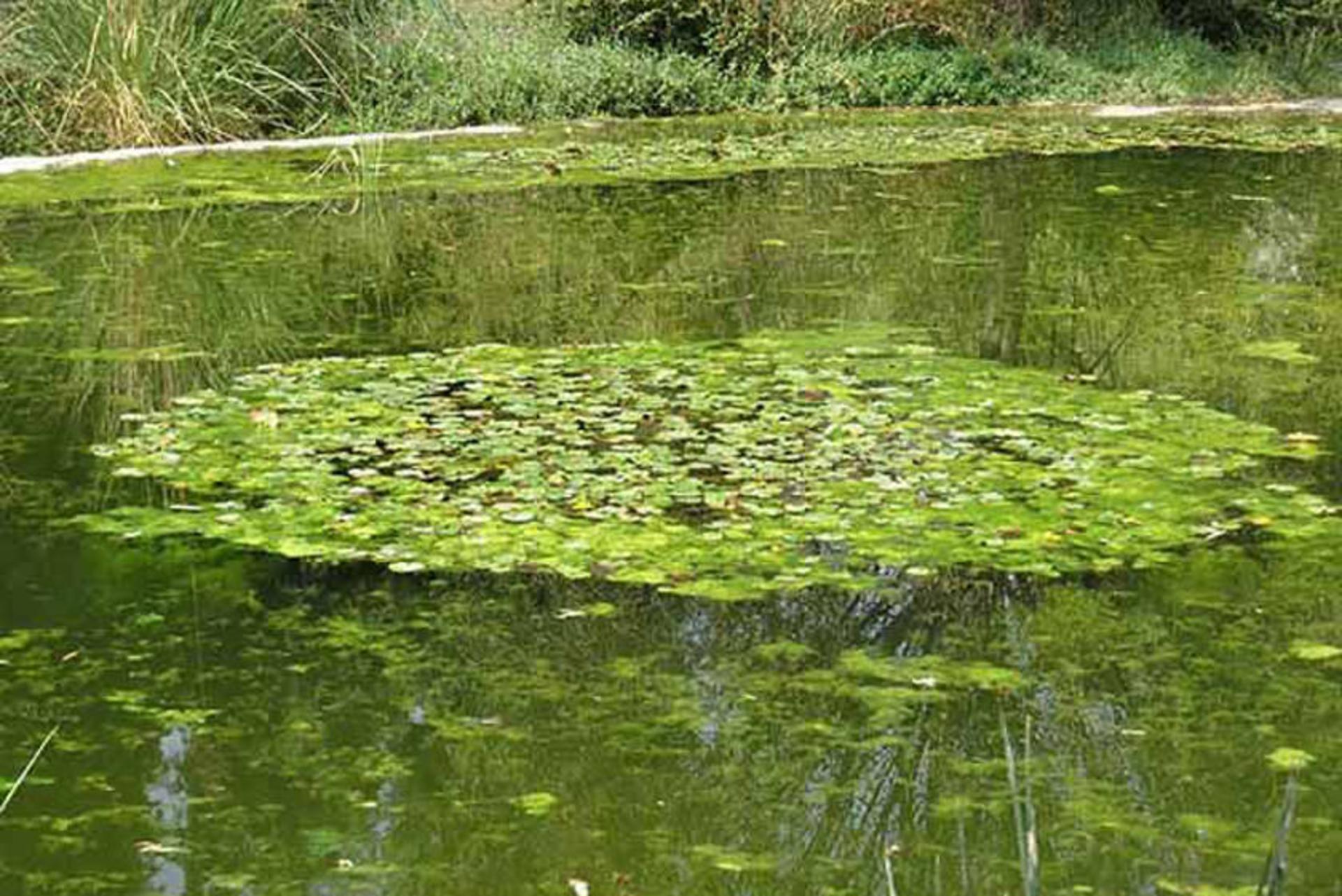 2018-7-7914ef05-e117-4c01-8827-62dbc75fba98