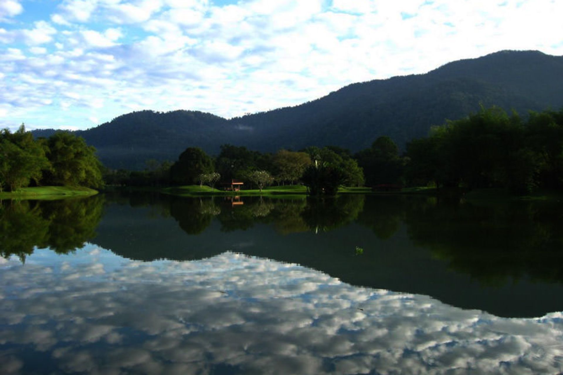 تایپینگ