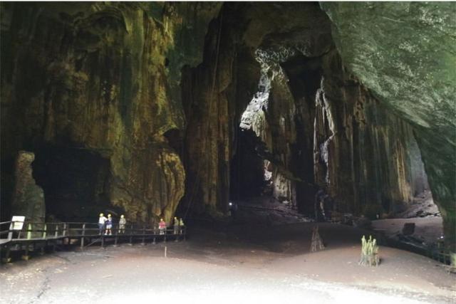 Gomantong Caves