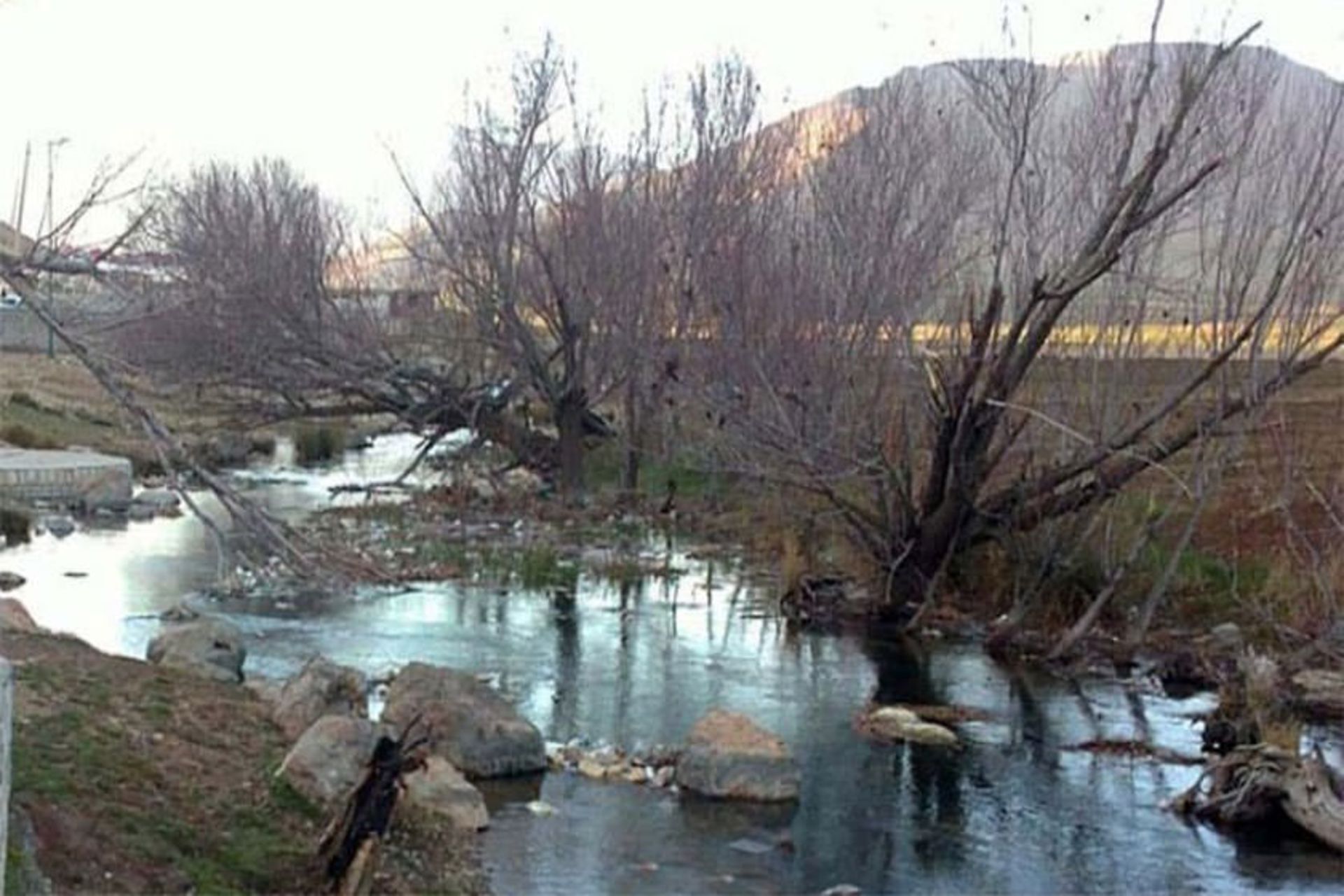 سراب فش