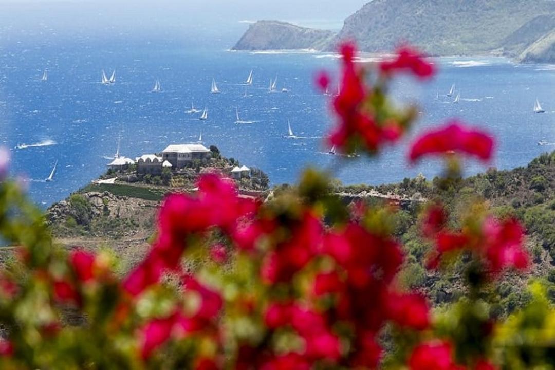 انتیگوا