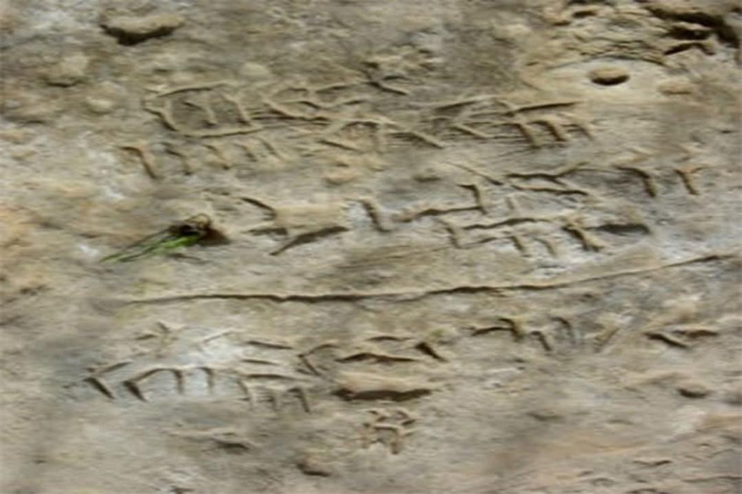 غار دوشه
