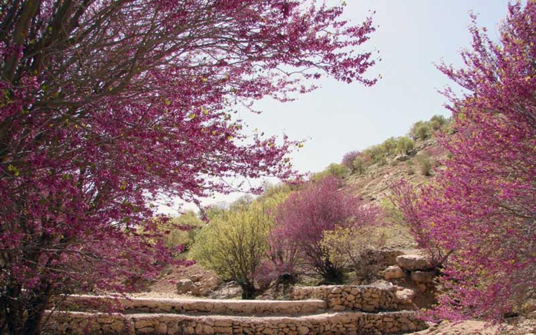 بهار ایلام