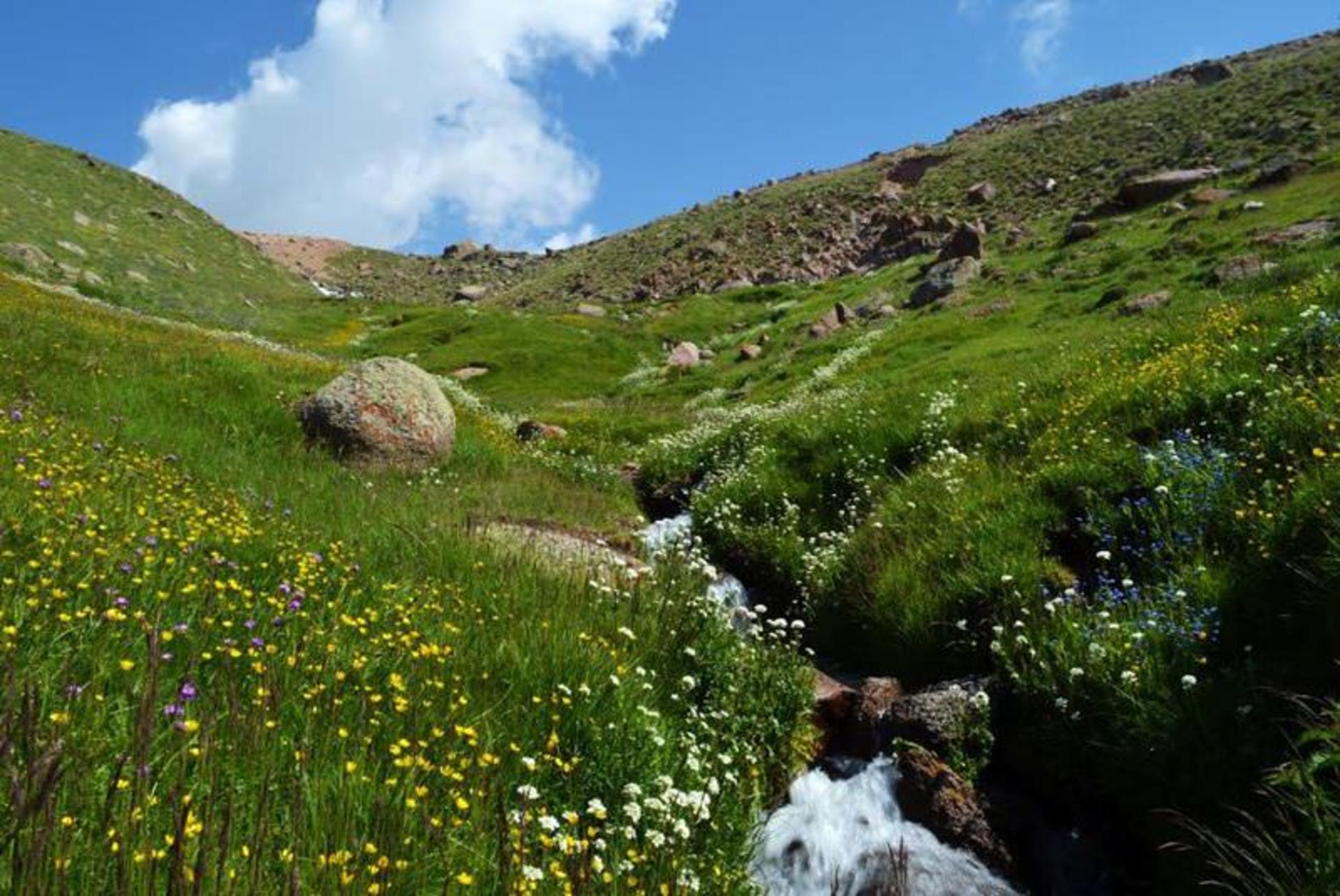 دره الوارس
