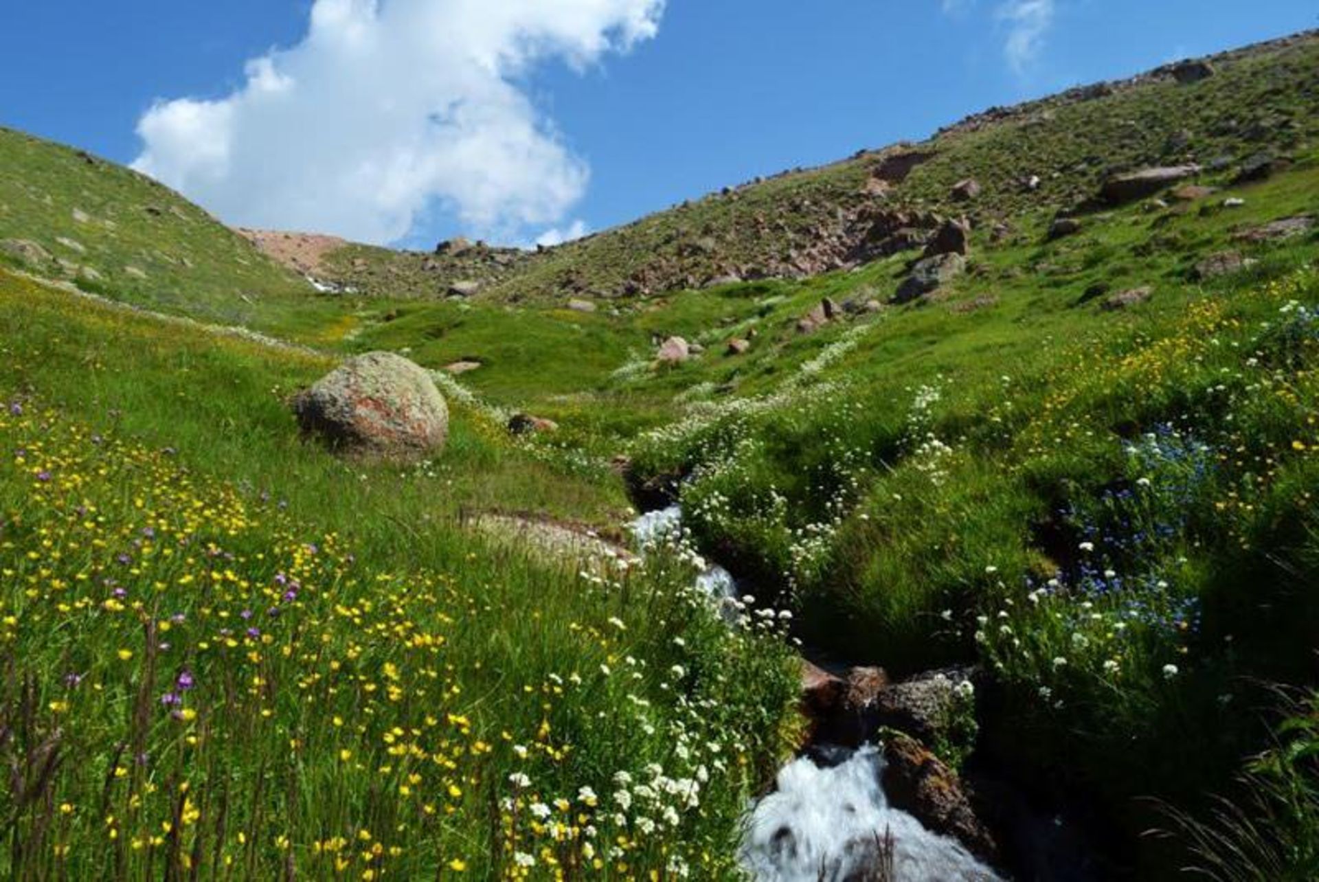 دره الوارس