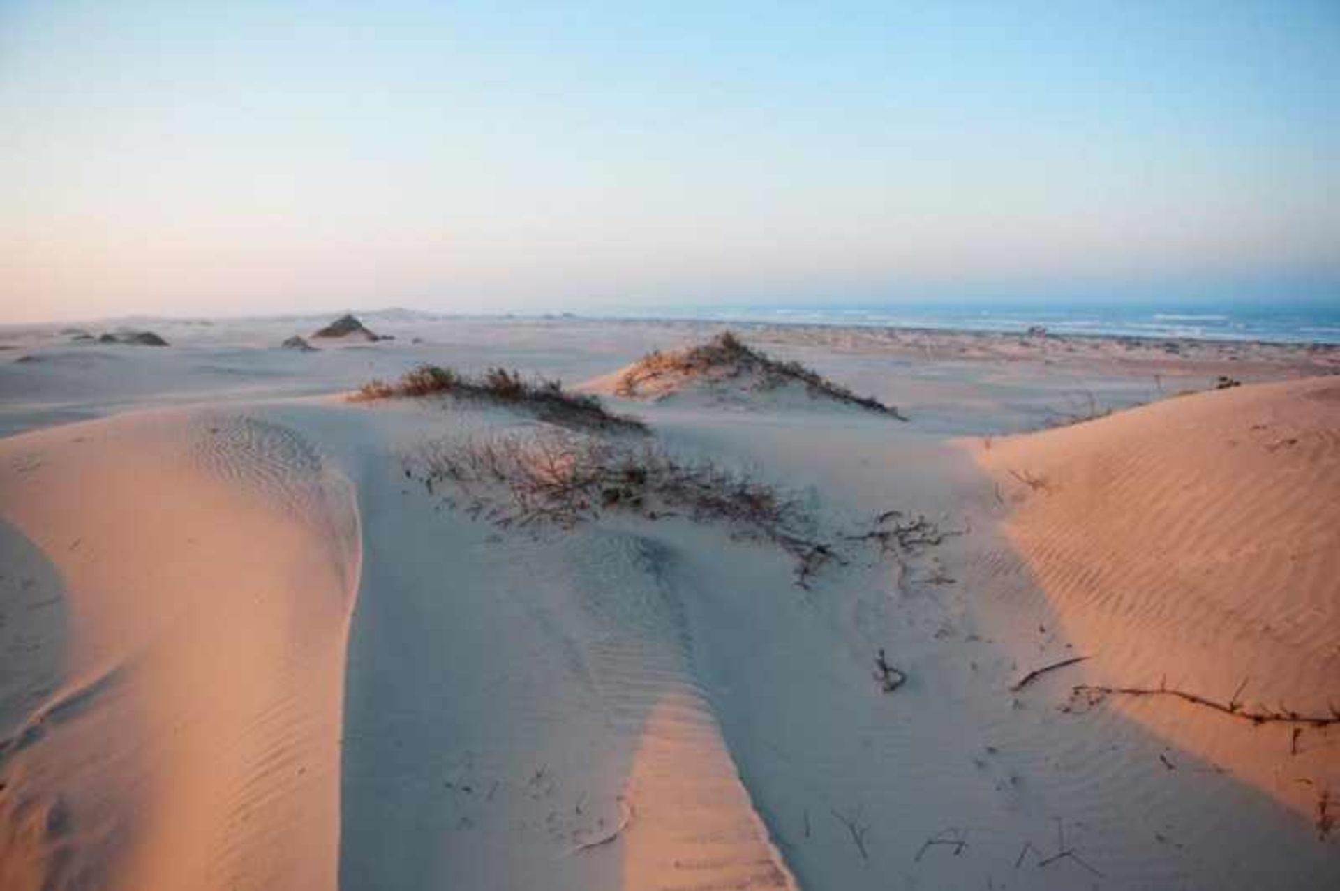 جزیره‌ی پادره