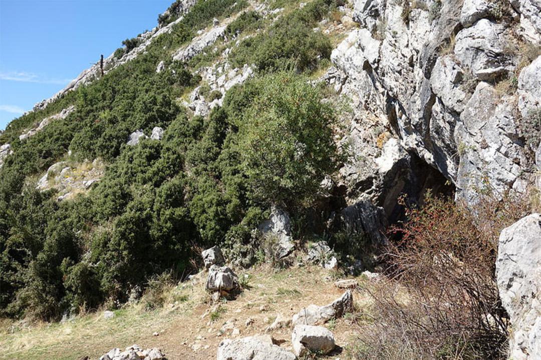 Corycian cave