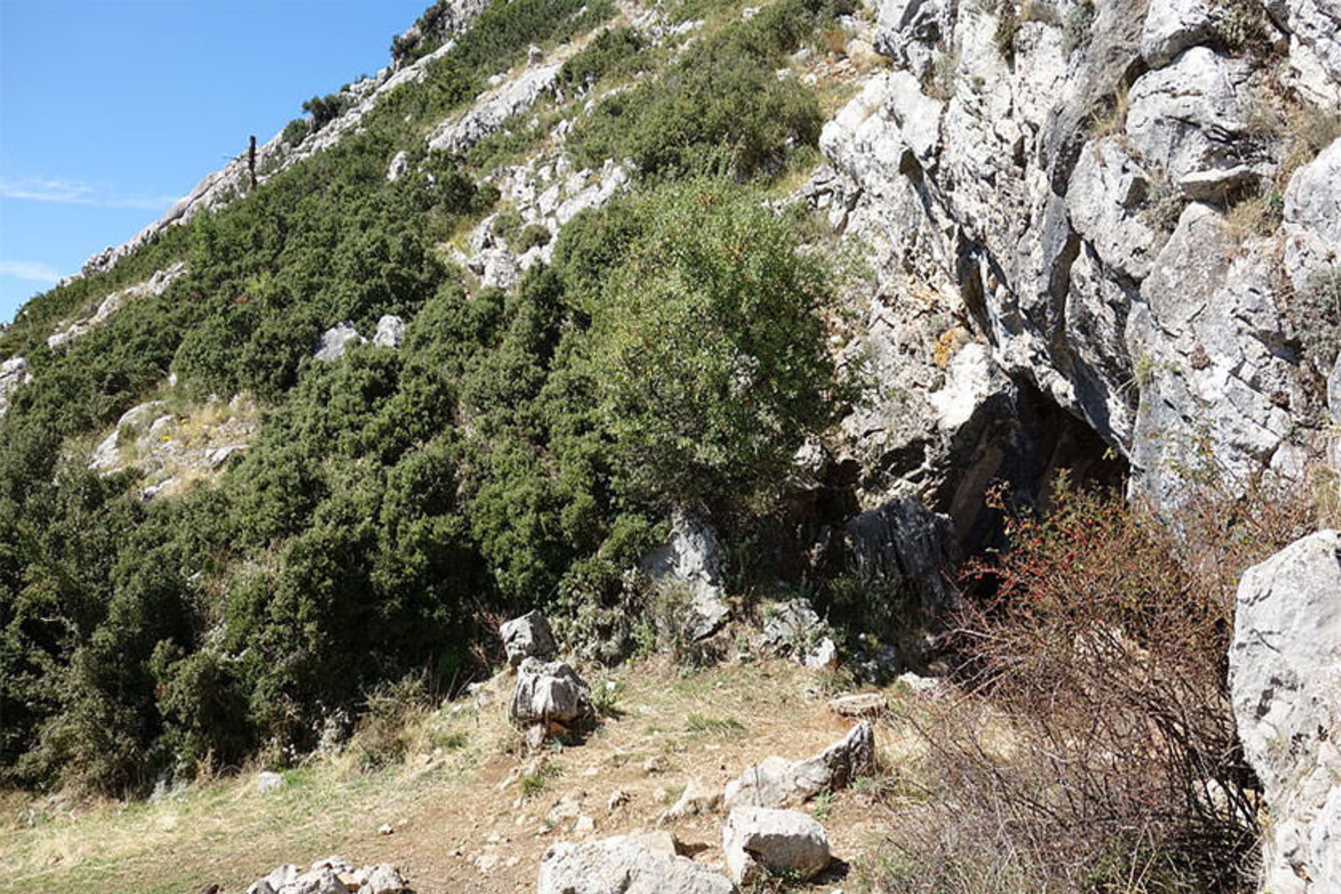 Corycian cave