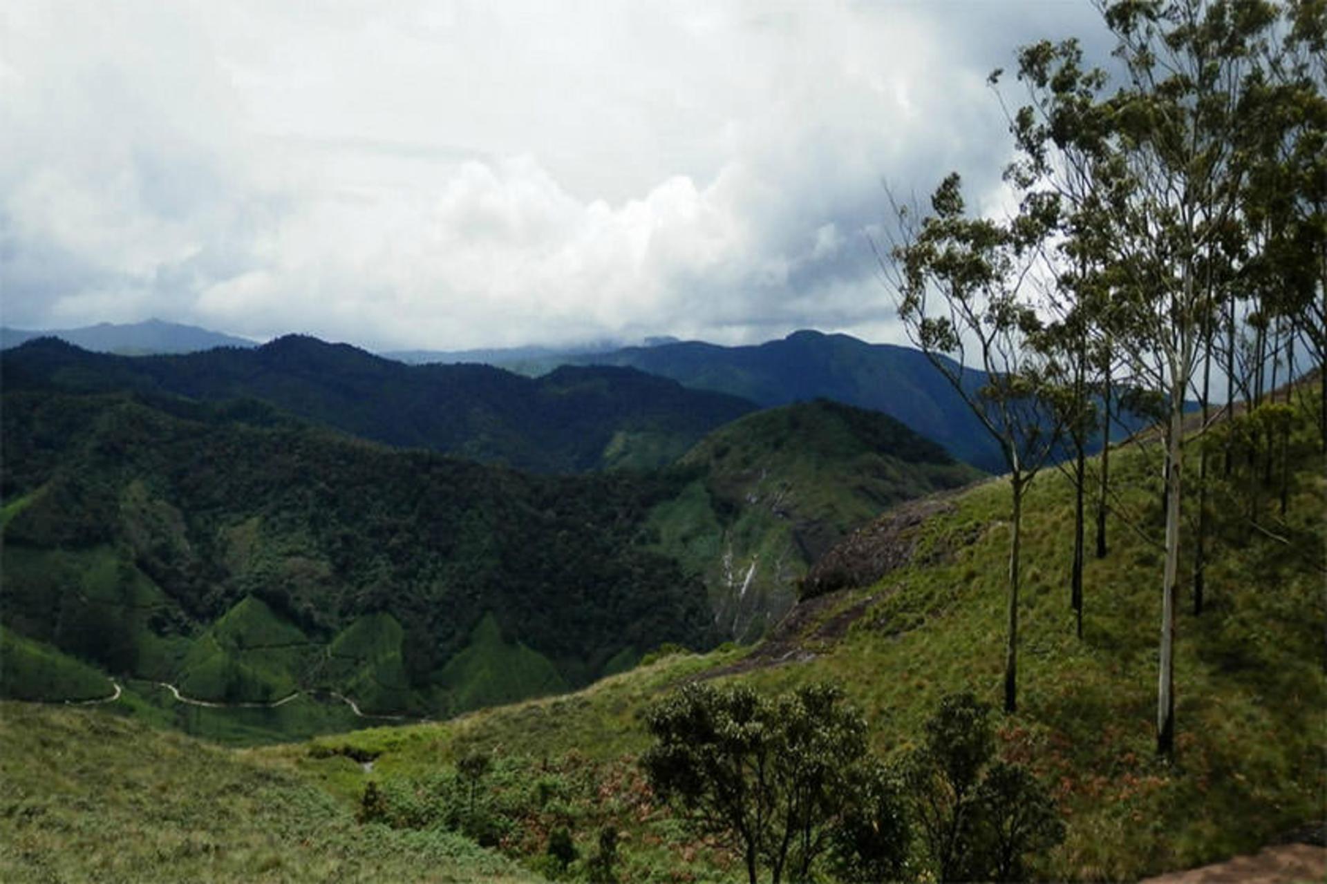 Eravikulam National Park